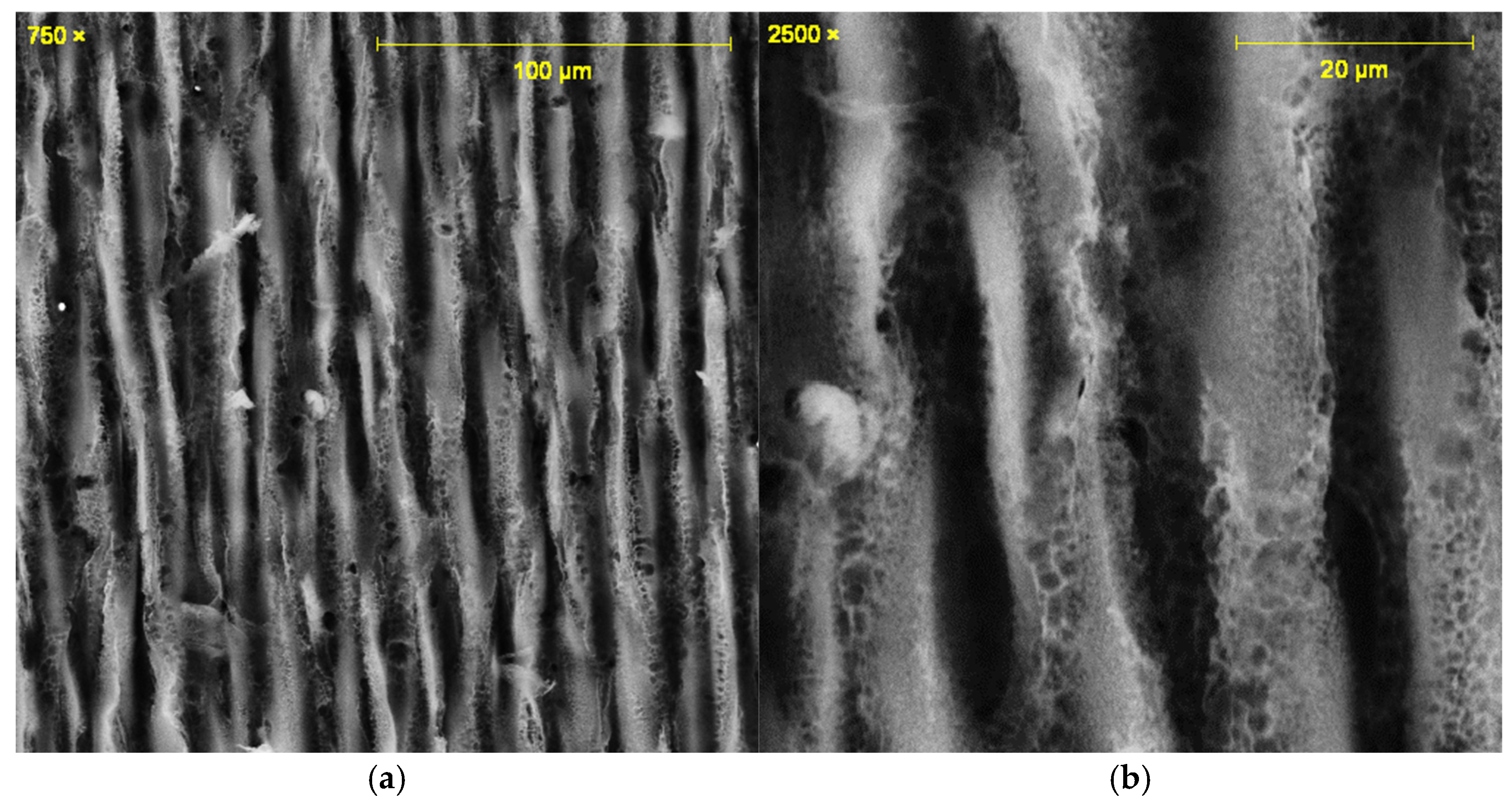 Sensors 25 07641 g003