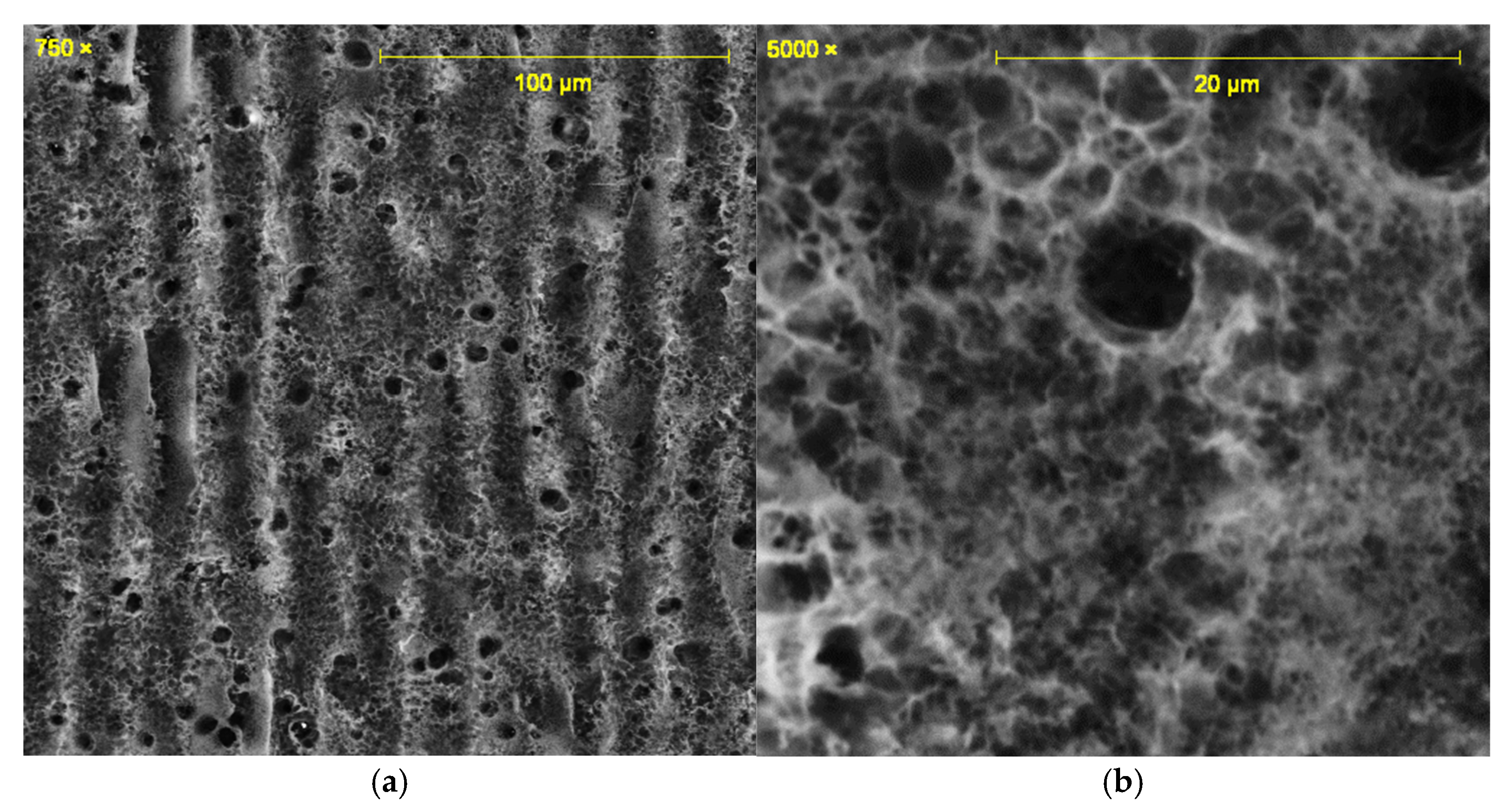 Sensors 25 07641 g004