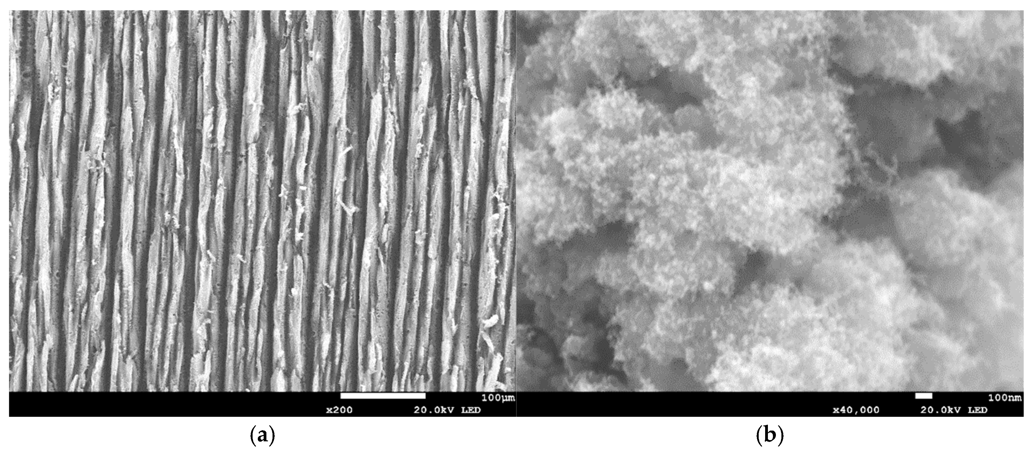 Sensors 25 07641 g006