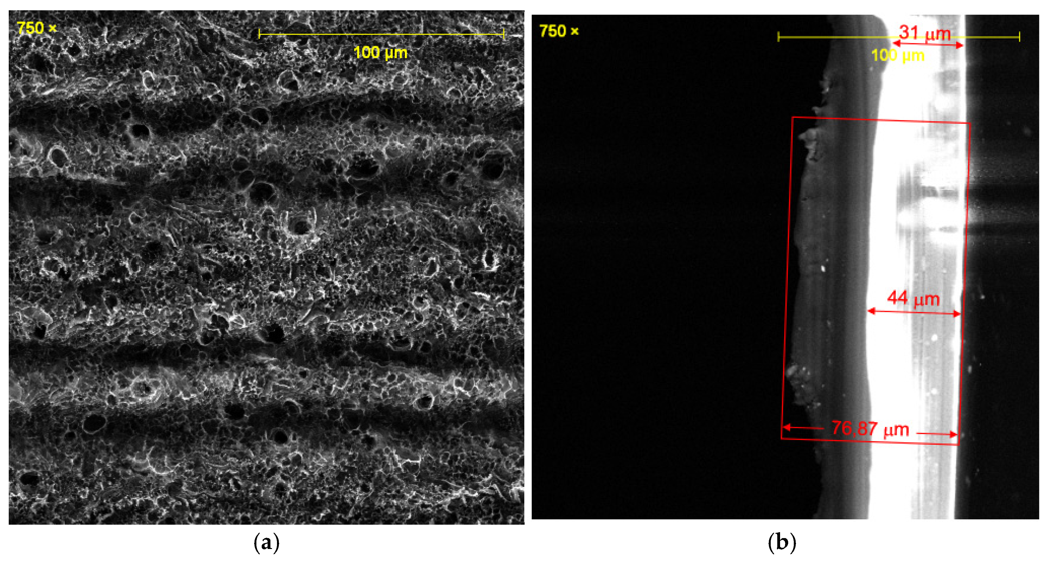 Sensors 25 07641 g008