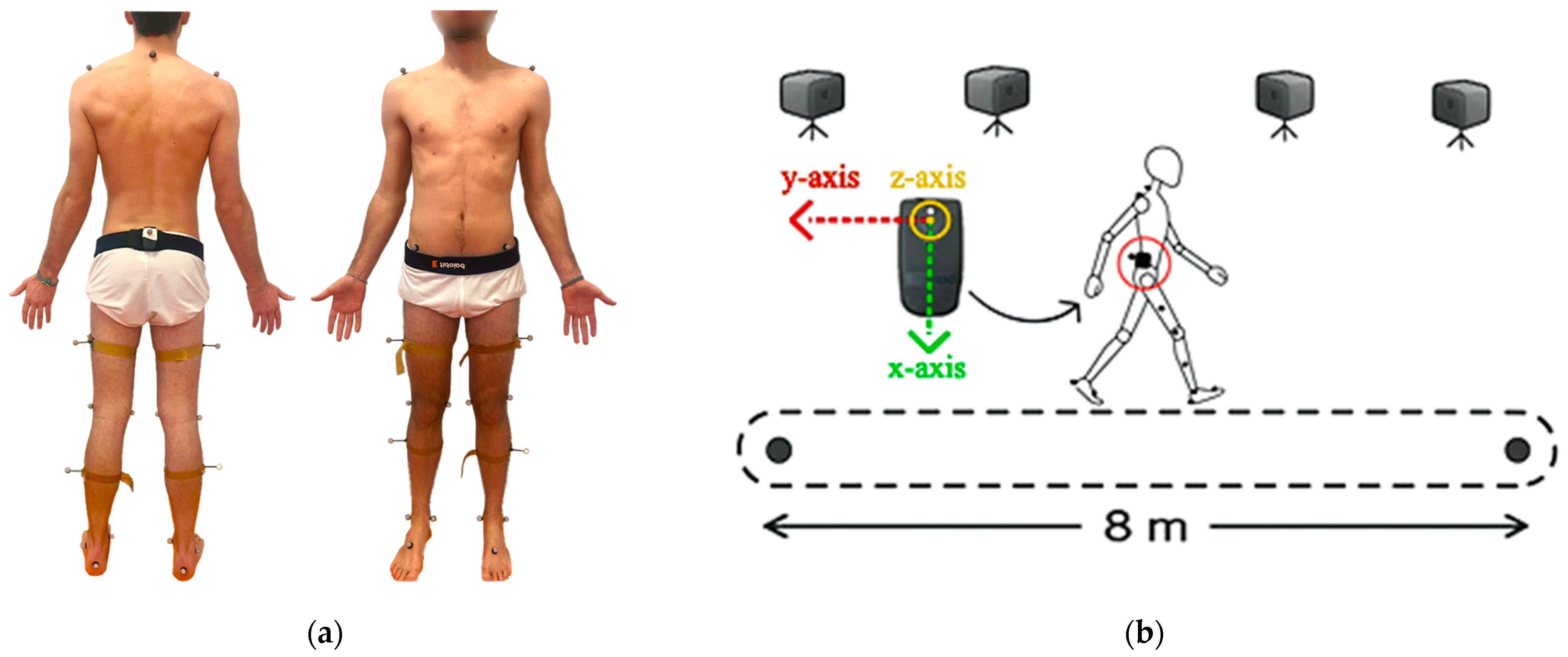 Sensors 25 07643 g002 Sensors 25 07643 g002