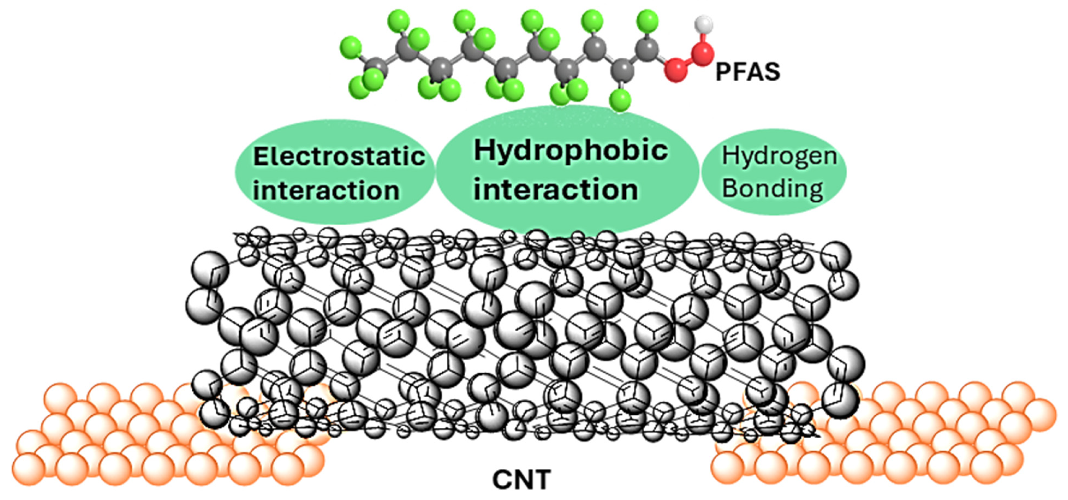 Sensors 25 07653 g001 Sensors 25 07653 g001