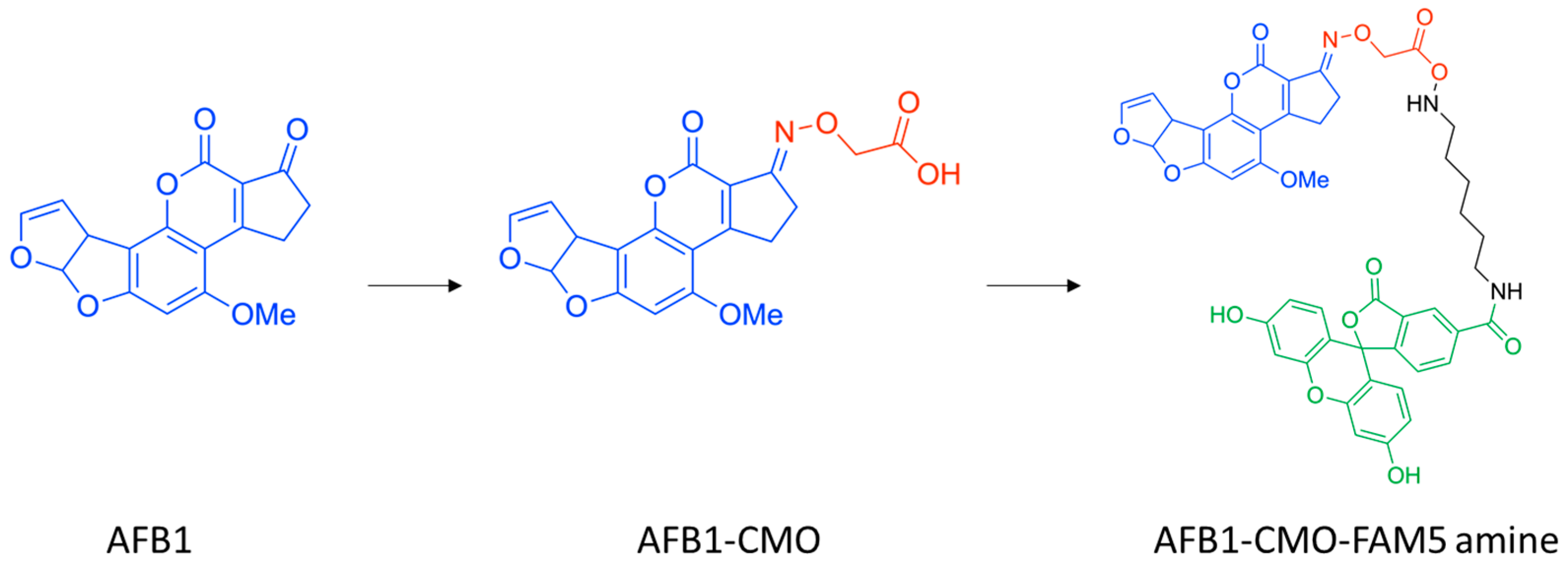Sensors 25 07660 g001 Sensors 25 07660 g001