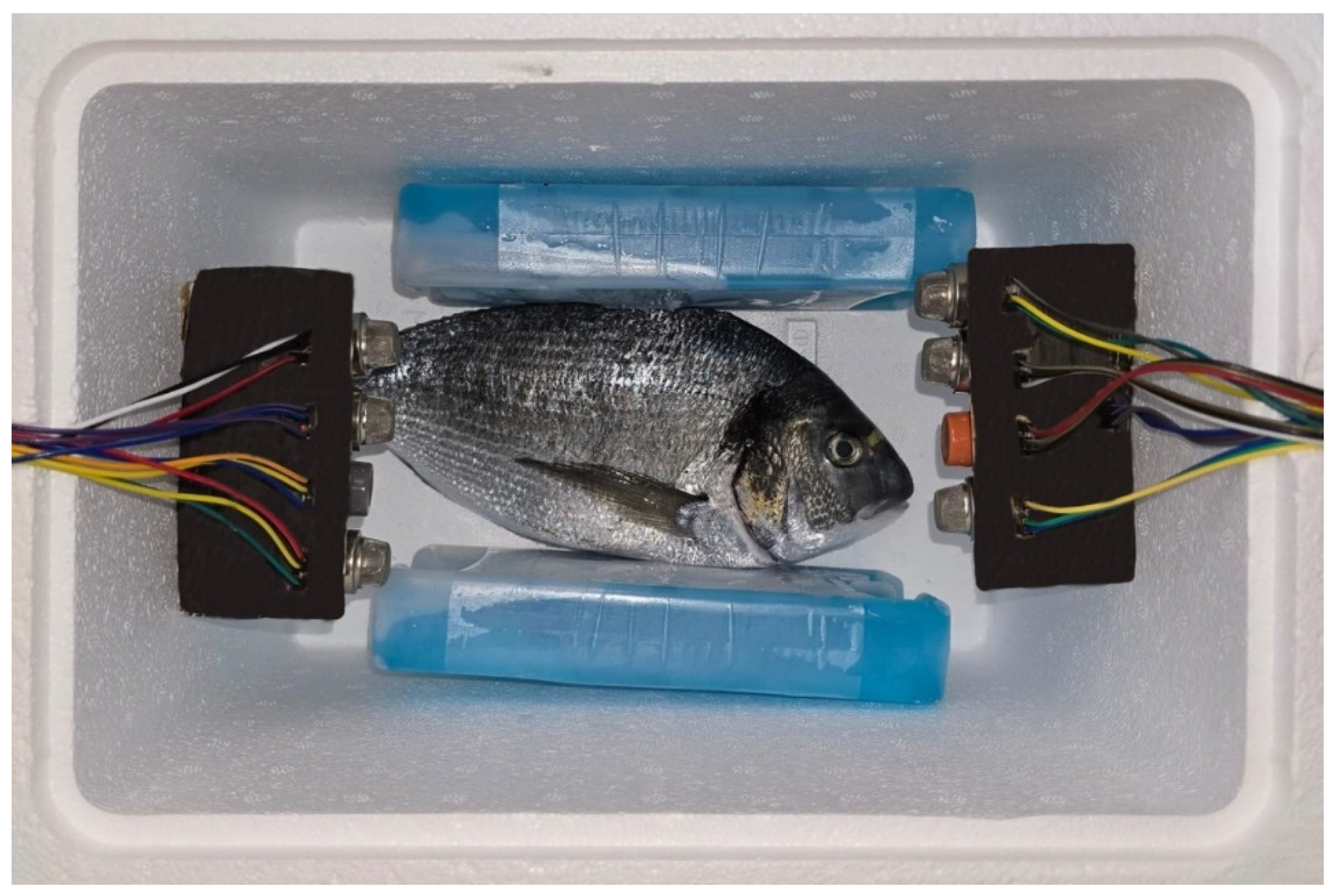 Sensors 26 00006 g002