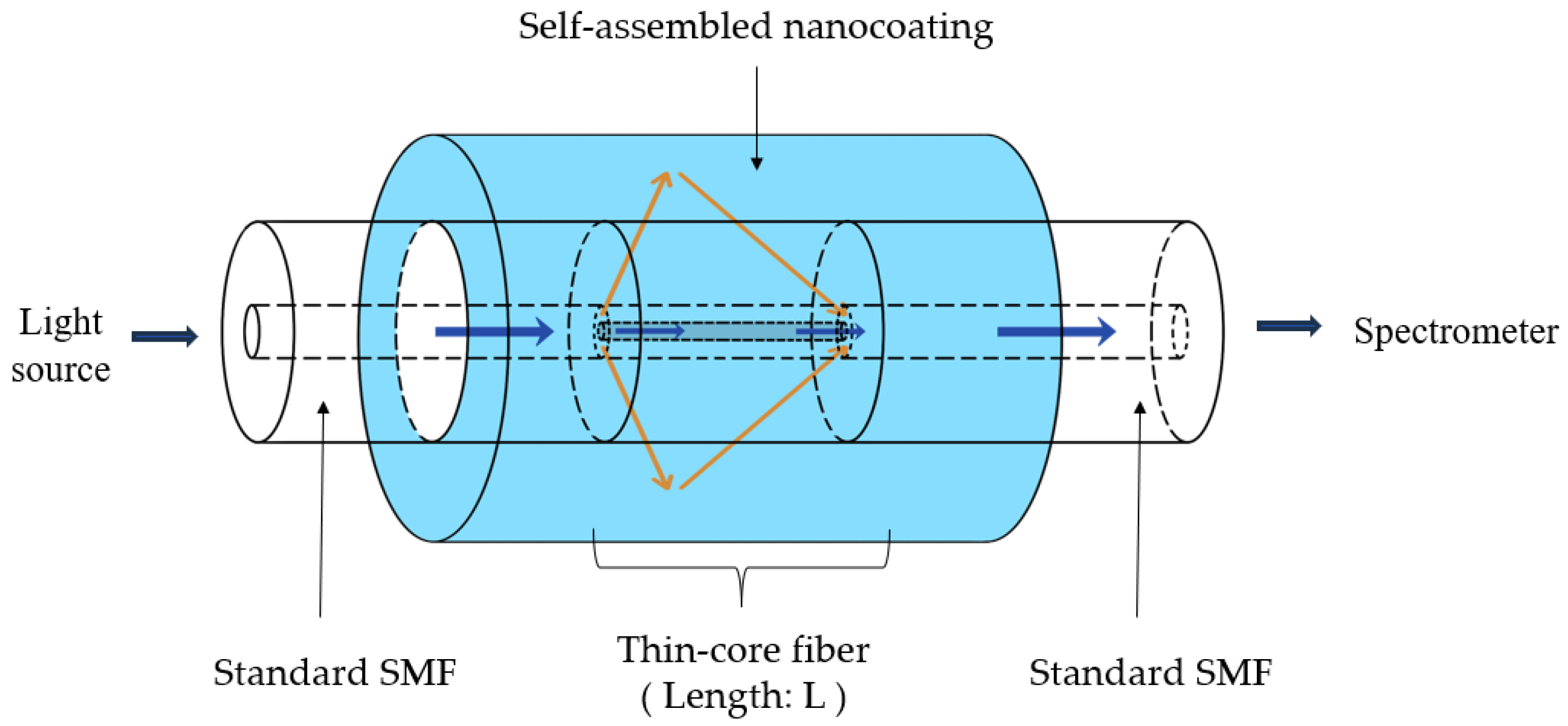 Sensors 26 00010 g005