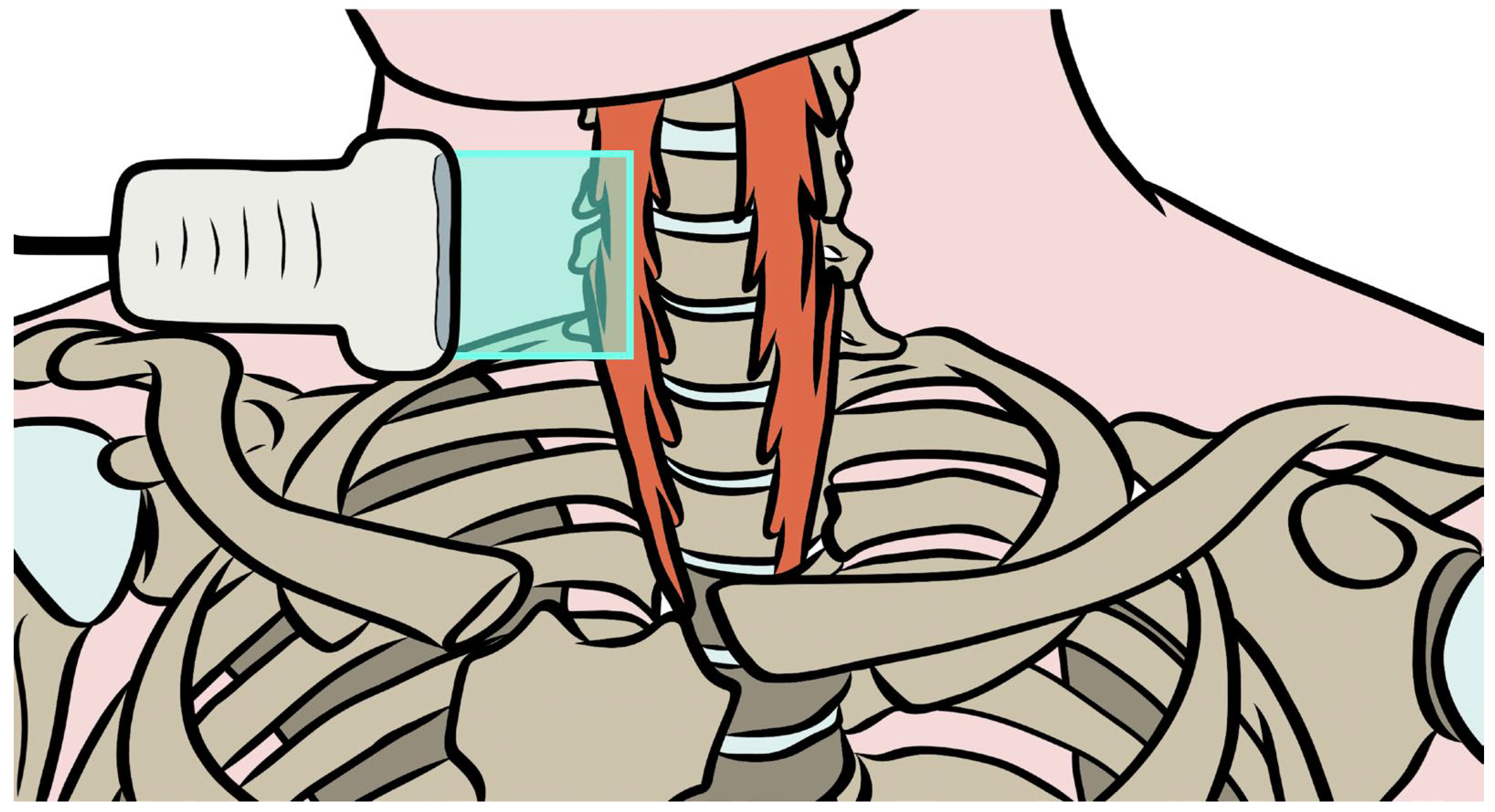 Sensors 26 00065 g001