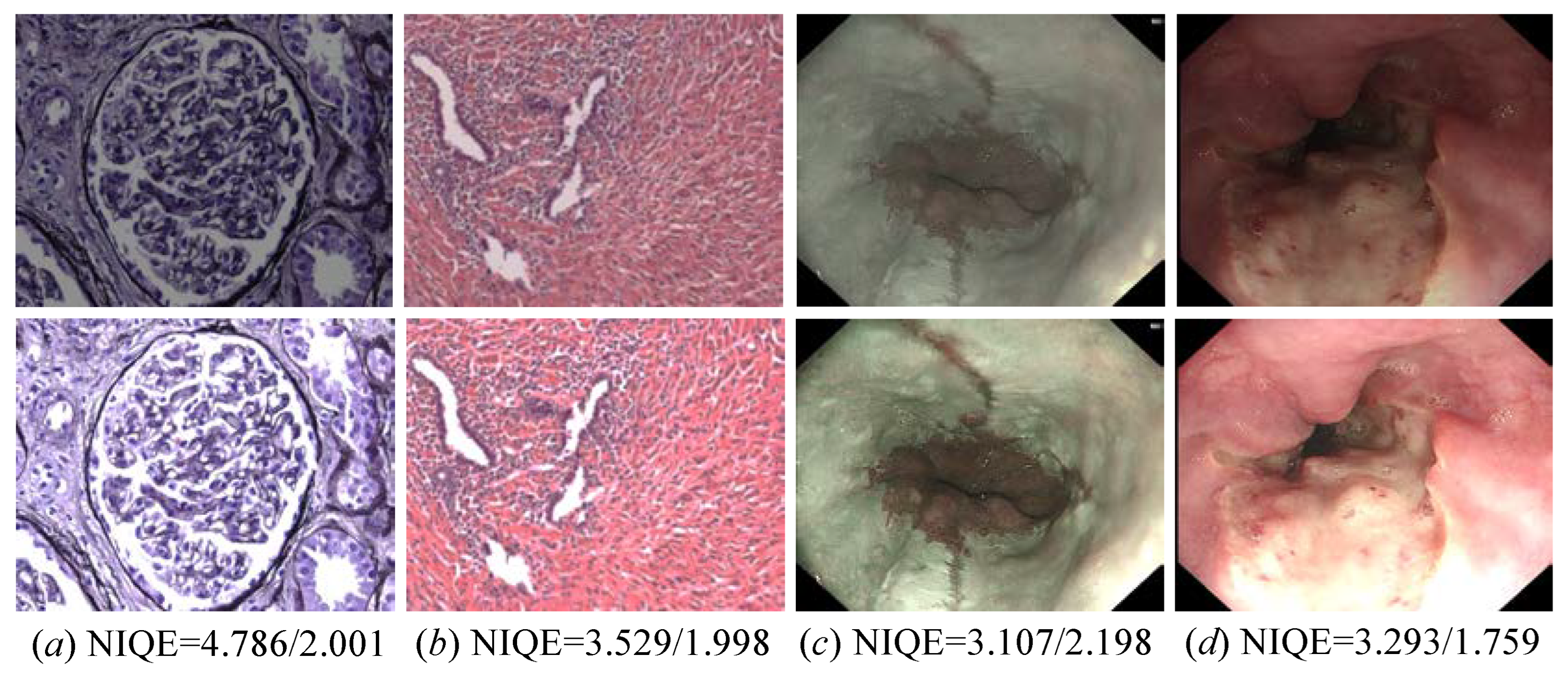 Sensors 26 00083 g012