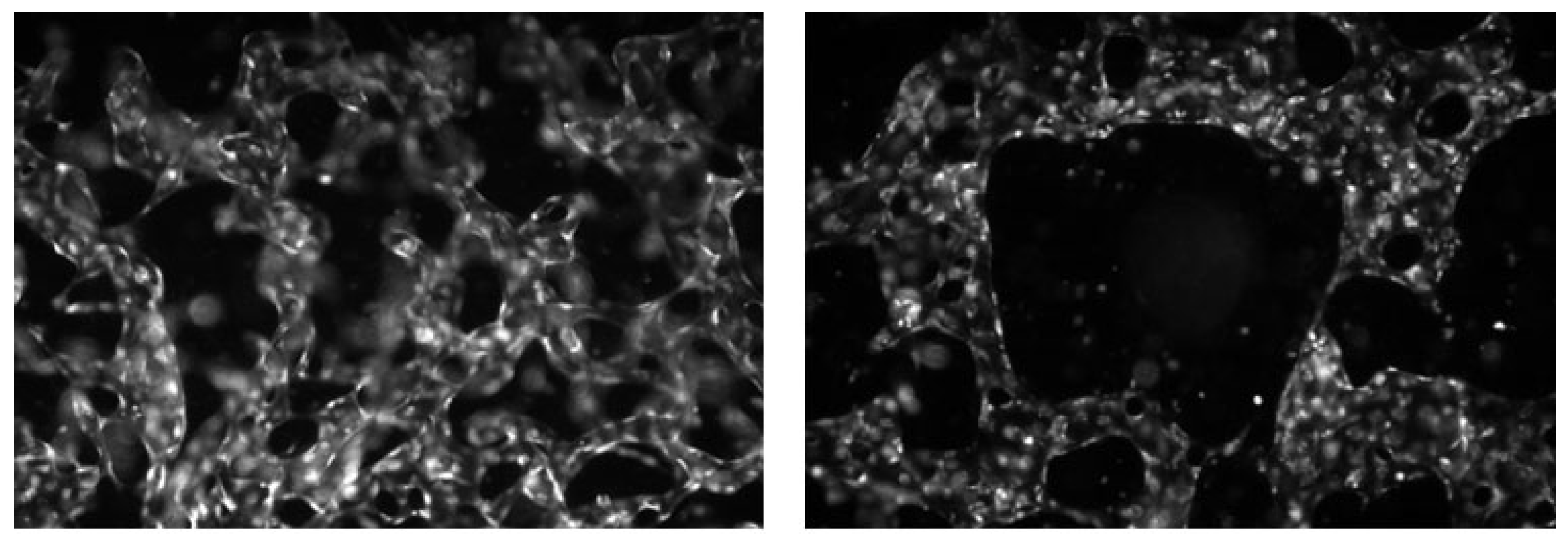 Sensors 26 00112 g006