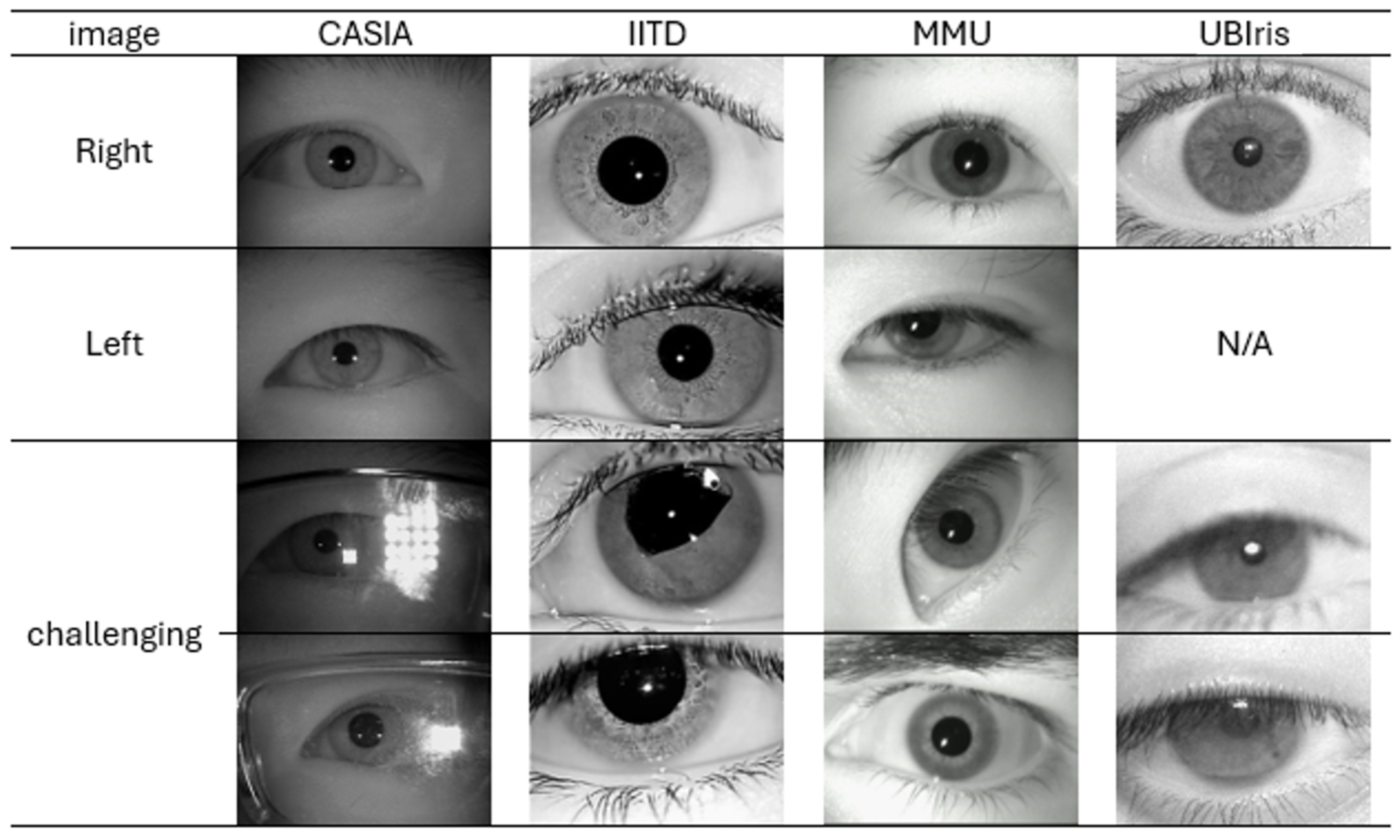 Sensors 26 00121 g007 Sensors 26 00121 g007