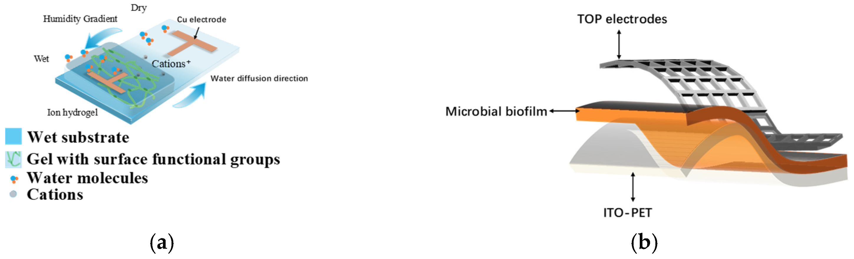 Sensors 26 00143 g004