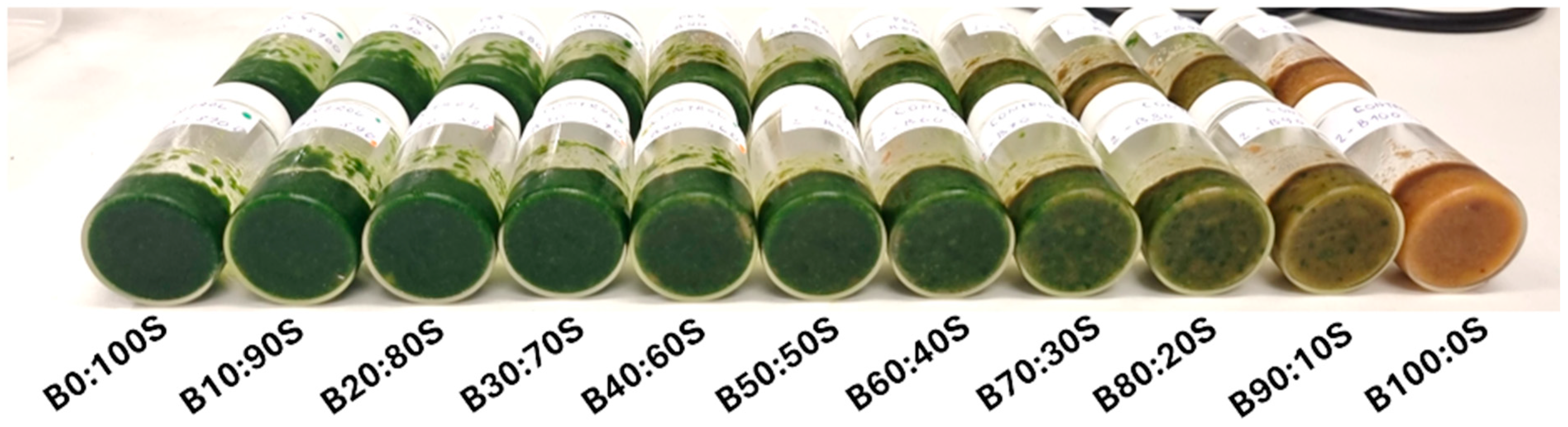 Sensors 26 00210 g002