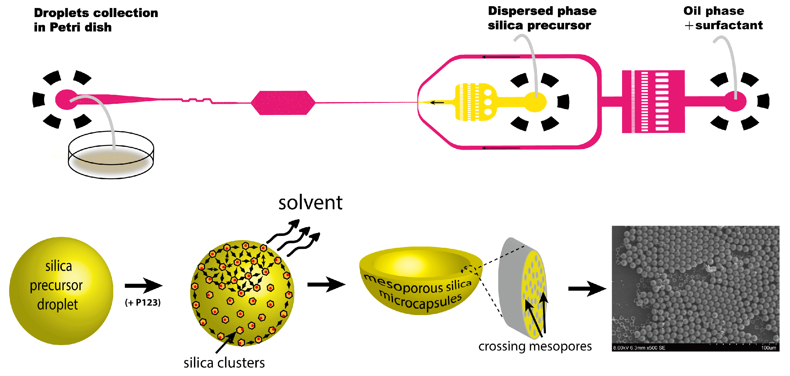 Sensors 26 00250 g001