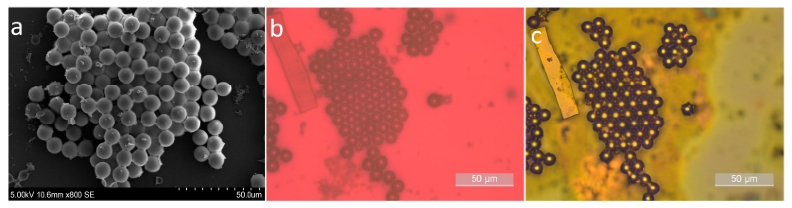 Sensors 26 00250 g002