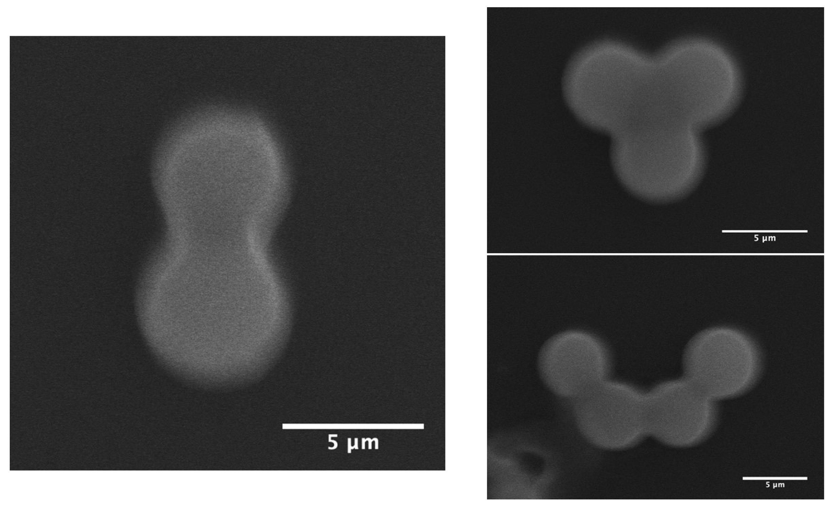 Sensors 26 00250 g005
