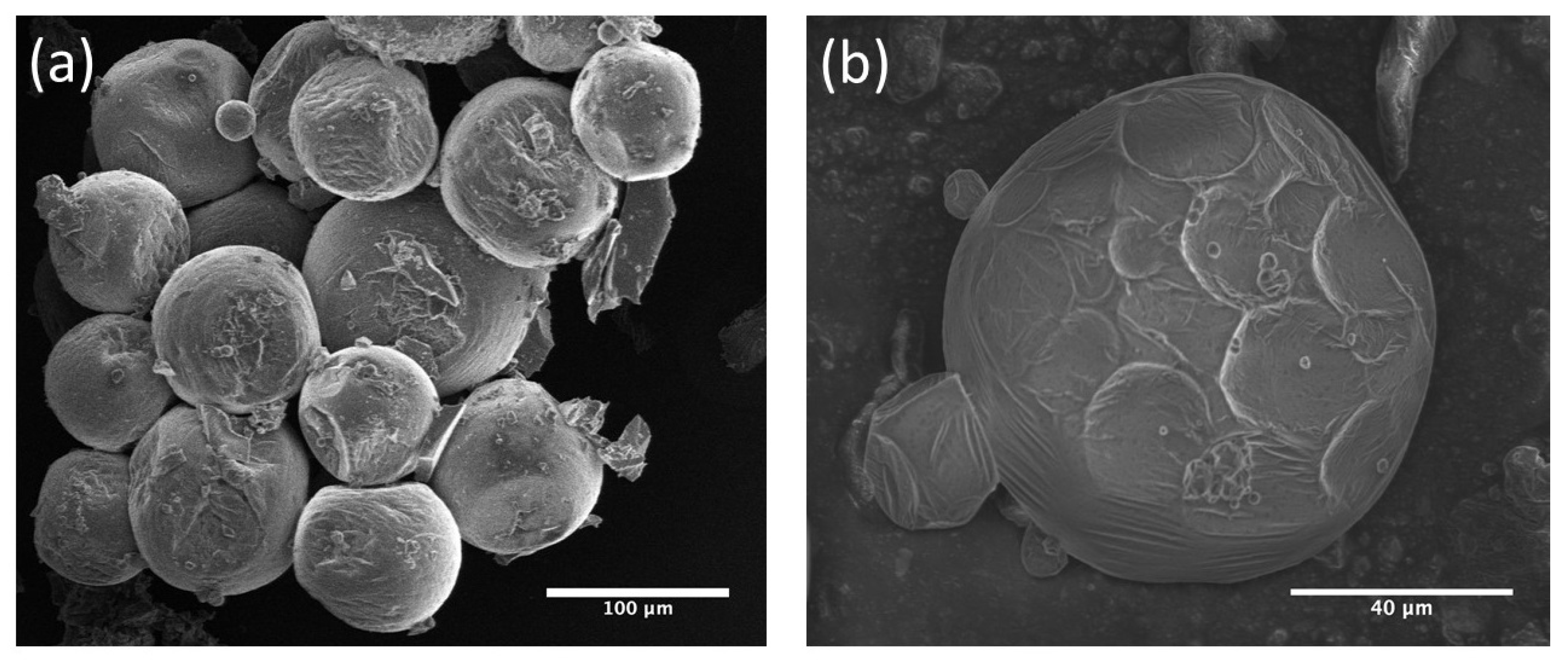 Sensors 26 00250 g006