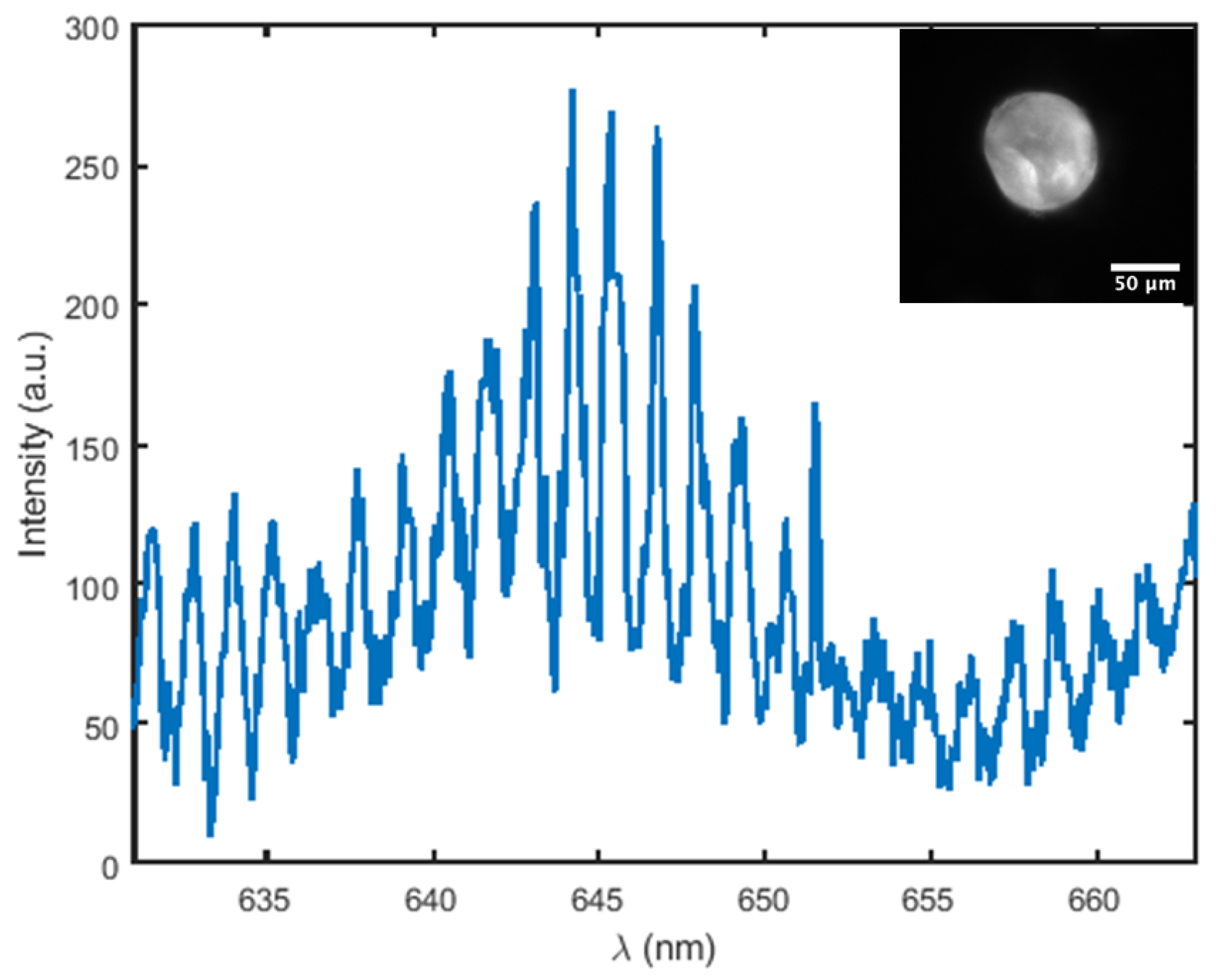 Sensors 26 00250 g007