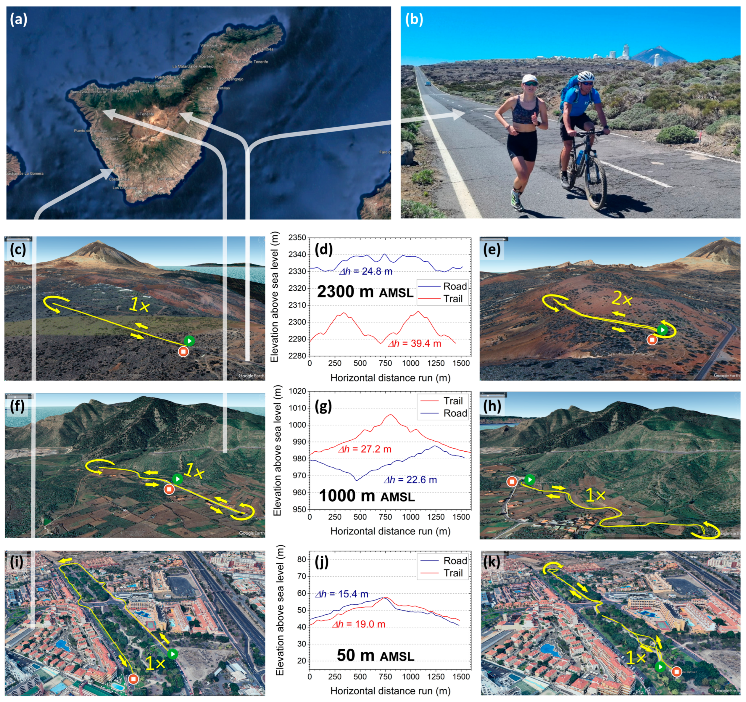 Sensors 26 00276 g002