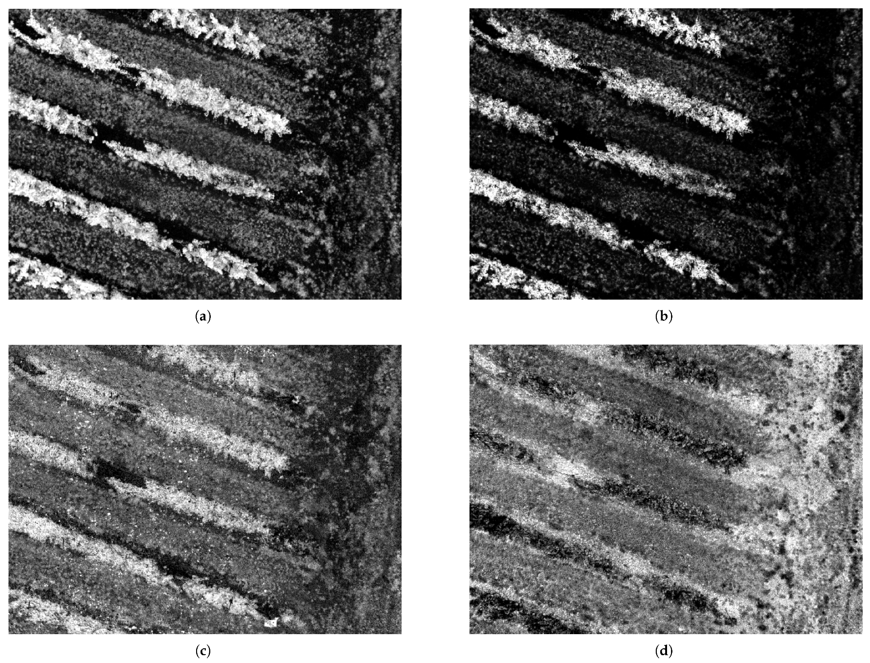 Sensors 26 00374 g004