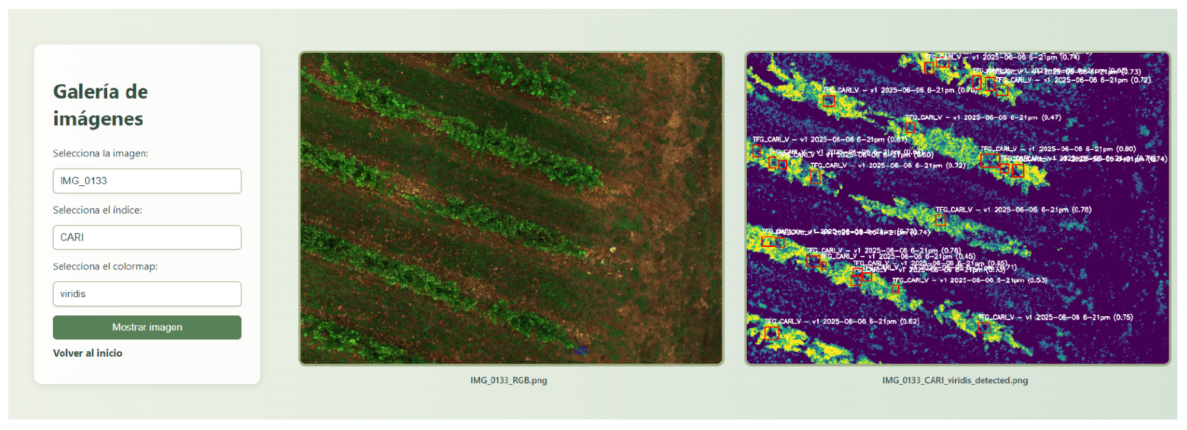 Sensors 26 00374 g005