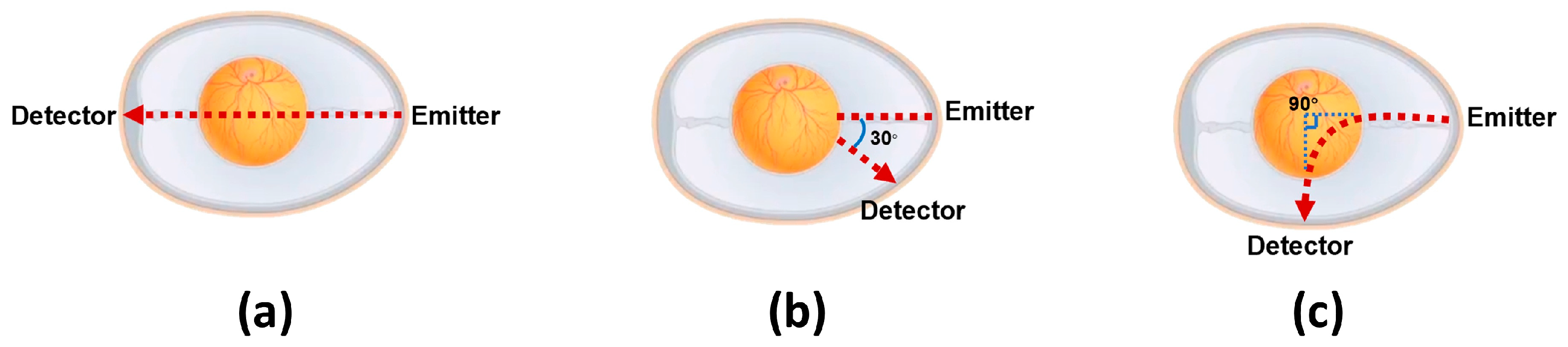 Sensors 26 00472 g004