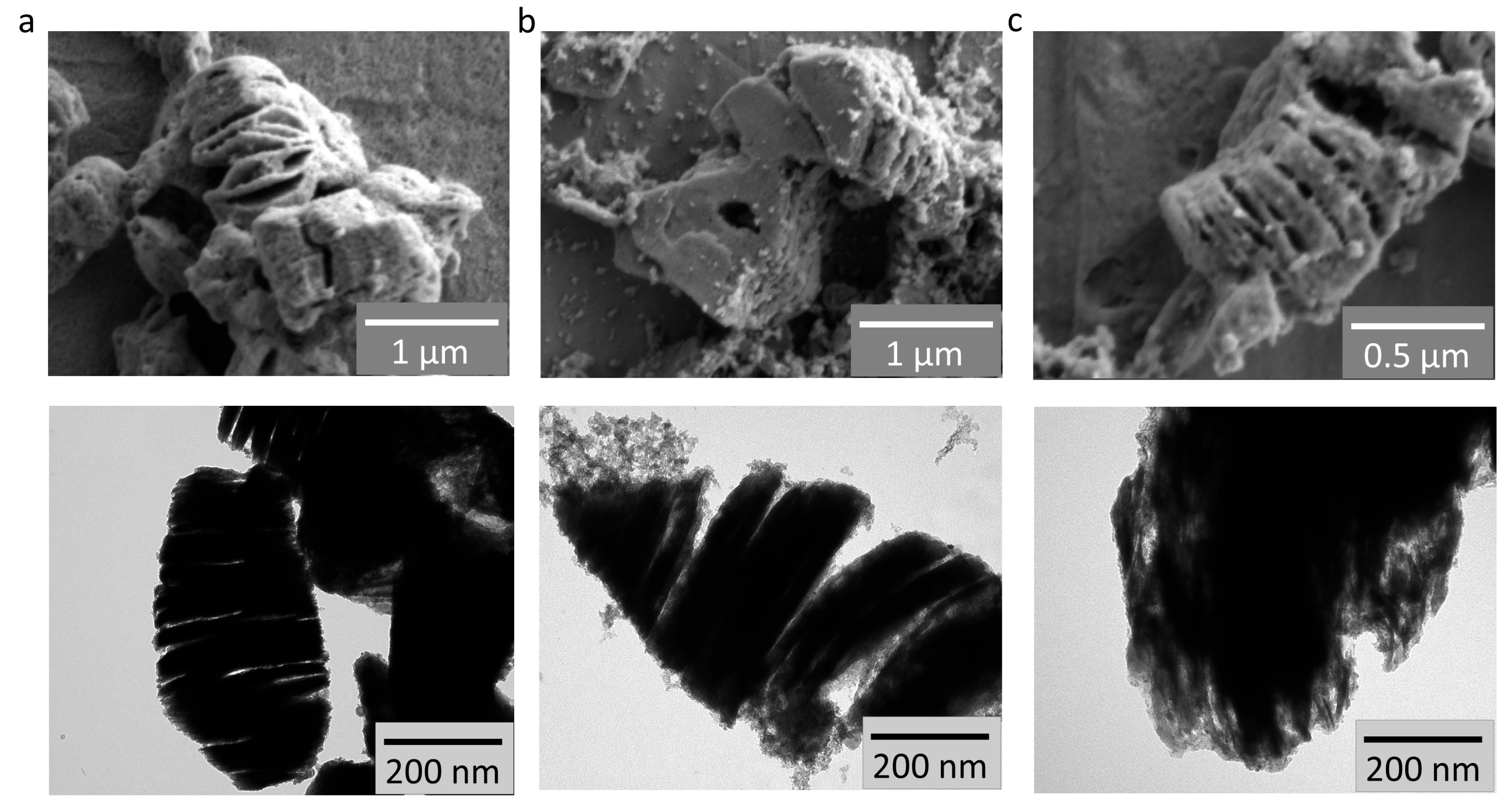 Sensors 26 00496 g002