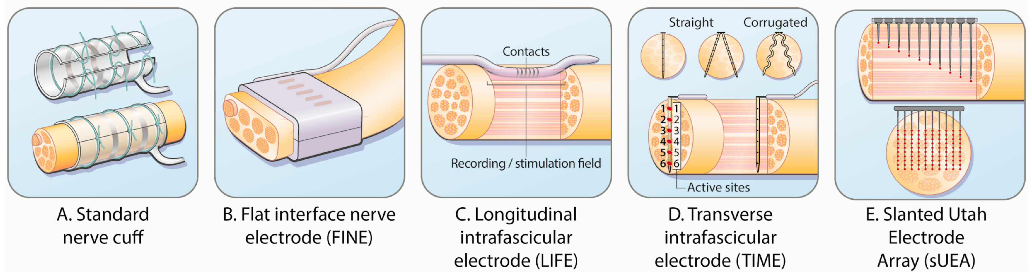 Sensors 26 00576 g003