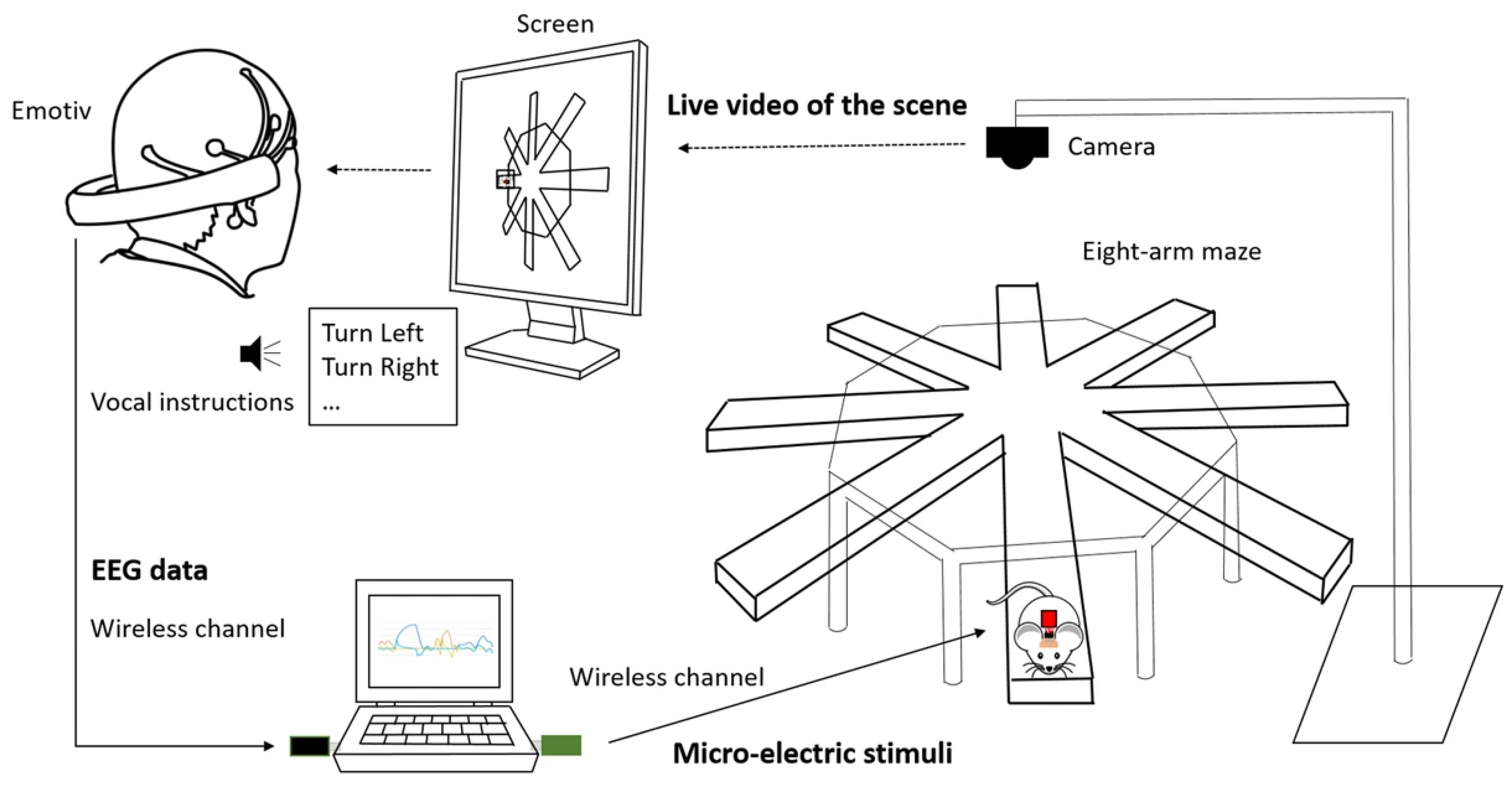 Sensors 26 00576 g010