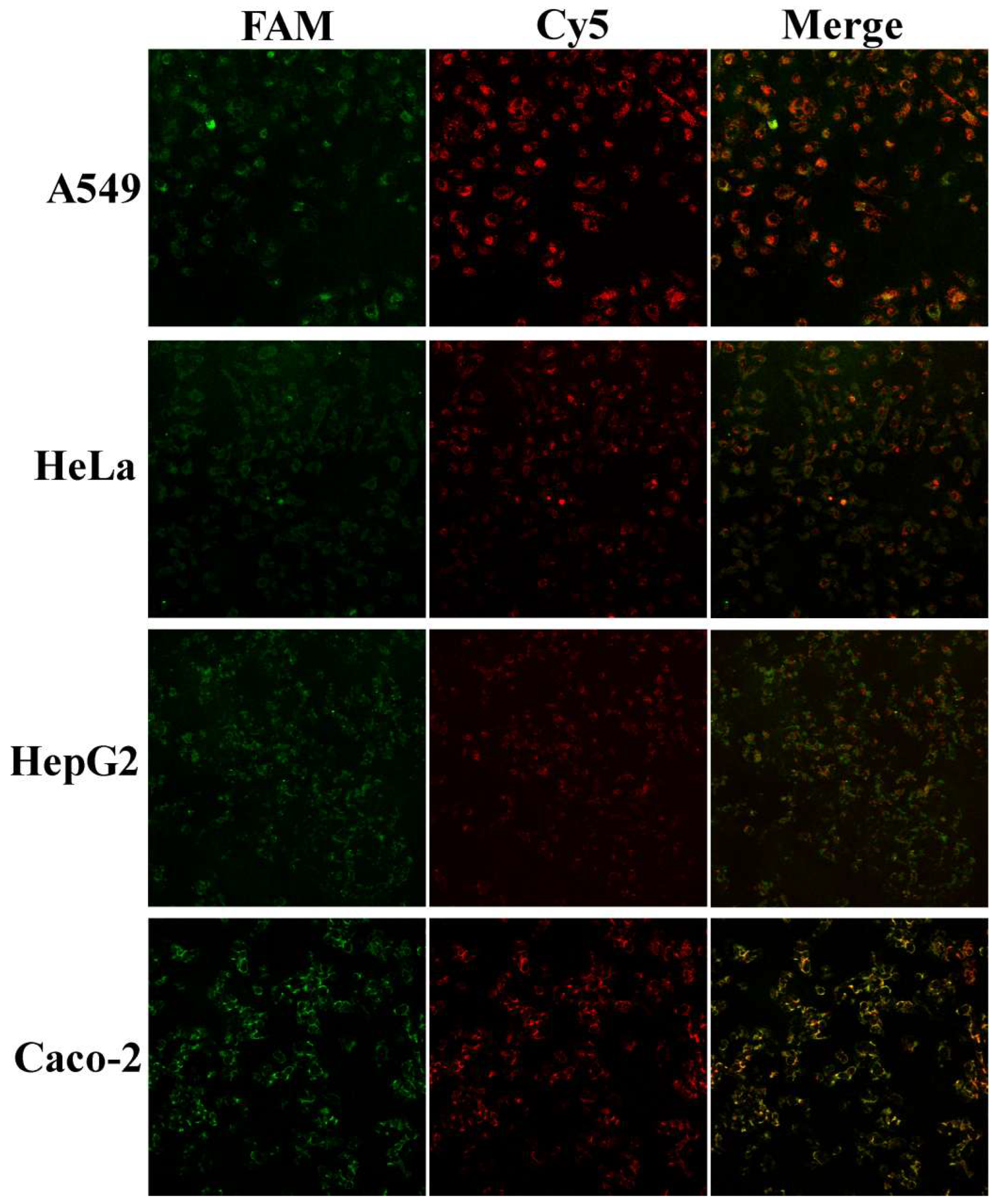 Sensors 26 00836 g004