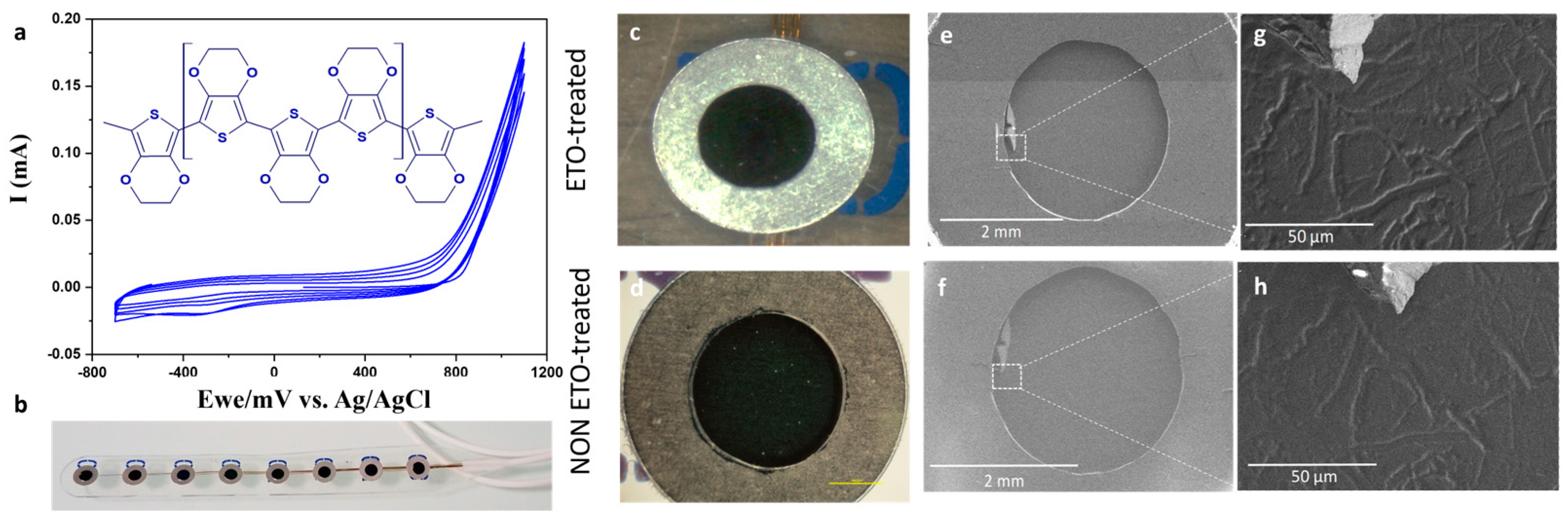 Sensors 26 00877 g002 Sensors 26 00877 g002