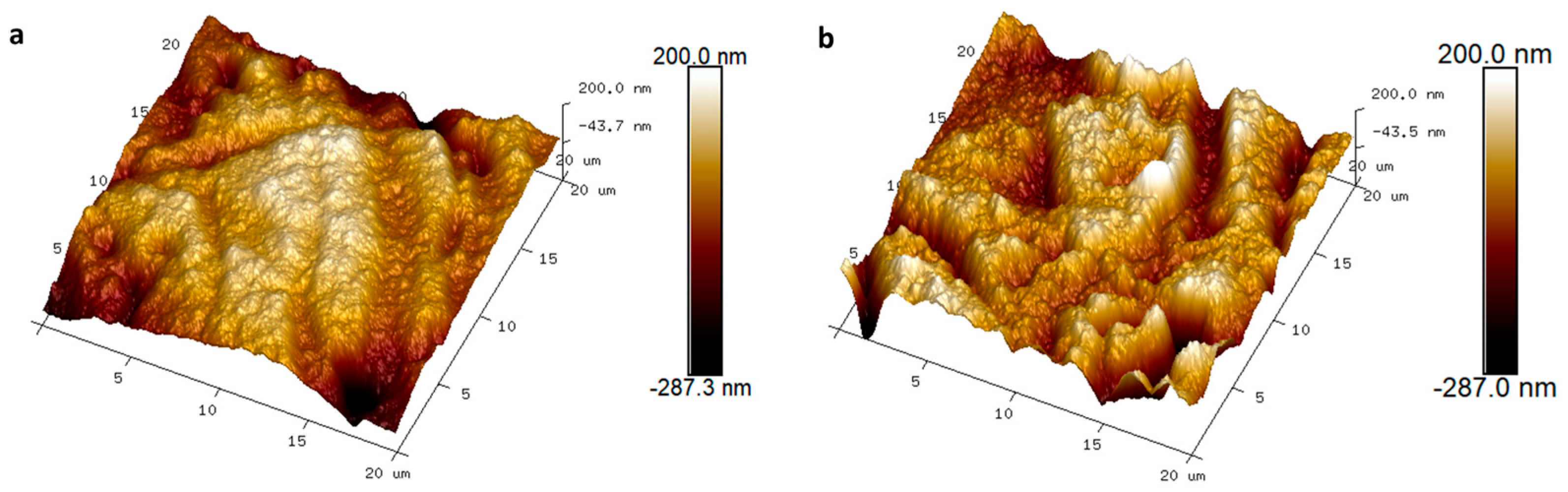 Sensors 26 00877 g003 Sensors 26 00877 g003