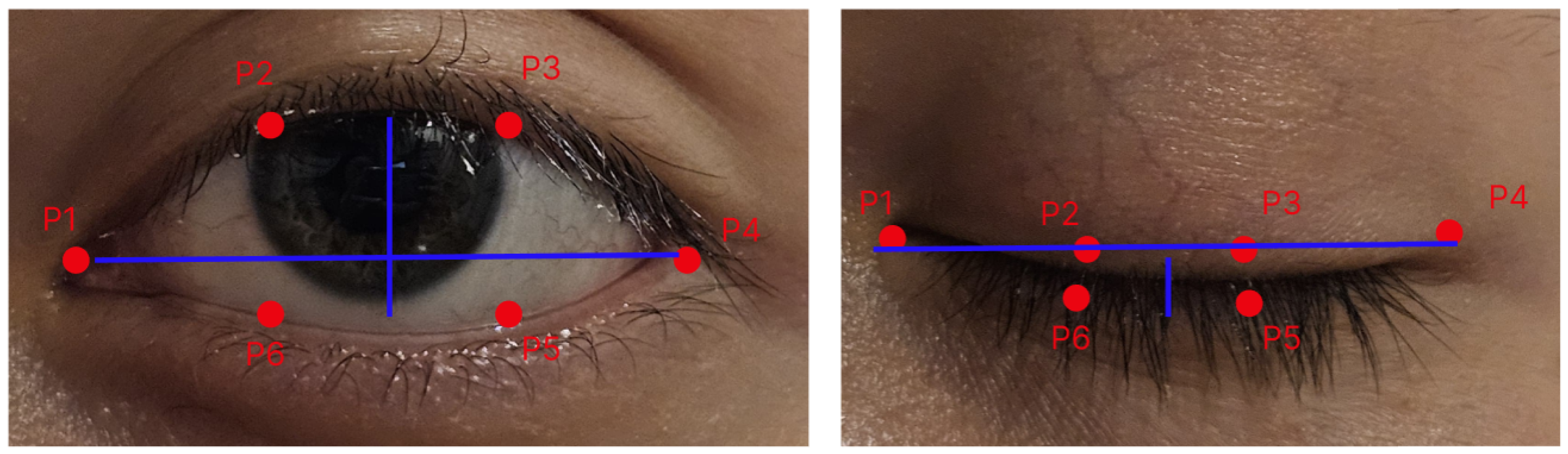 Sensors 26 00889 g003