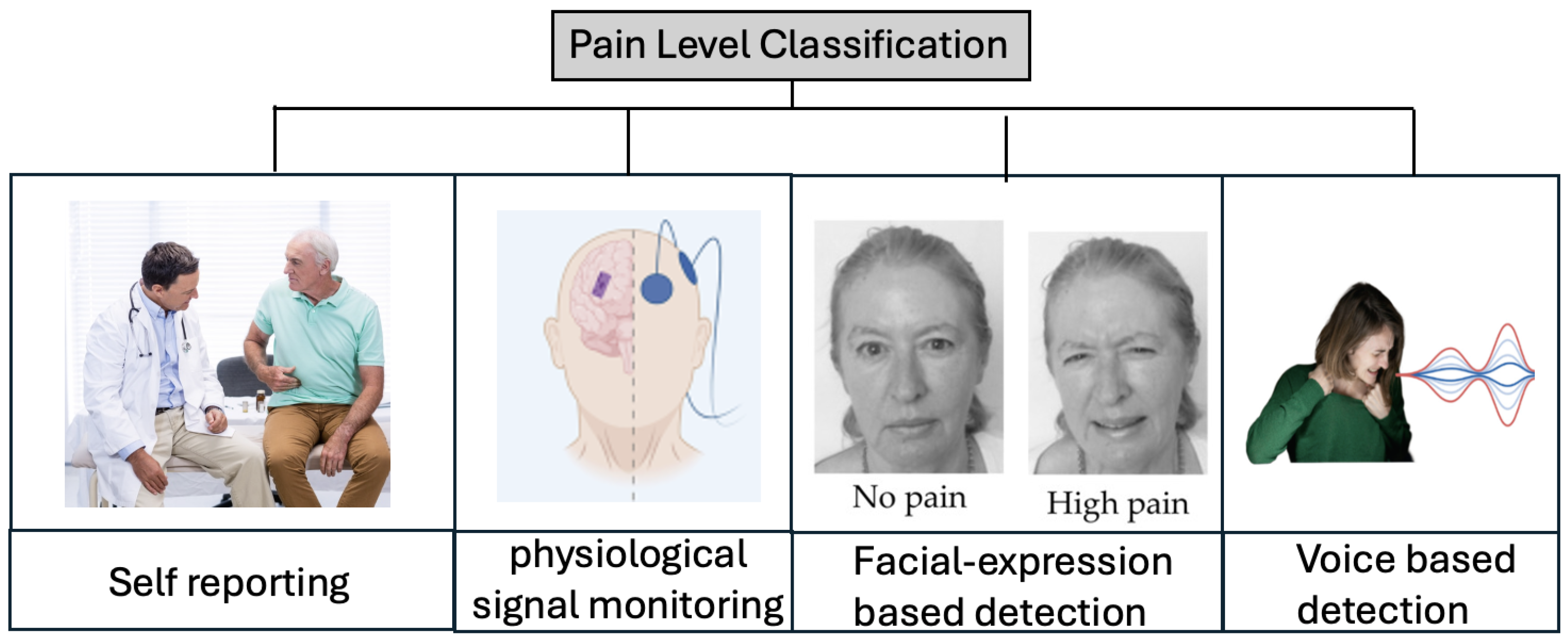 Sensors 26 00892 g001