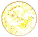 Sensors 26 03484 i009