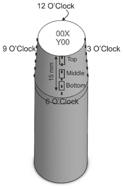 Sensors 26 03571 g006