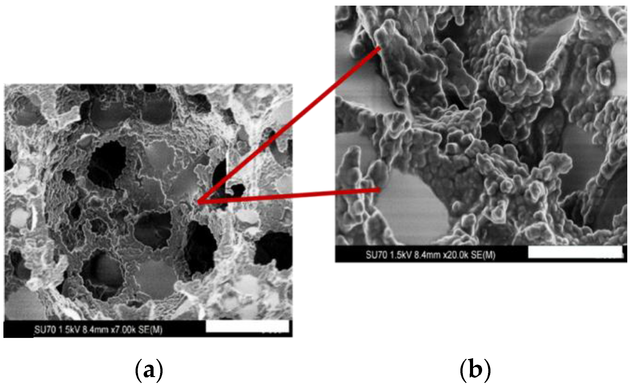 Separations 04 00005 g005