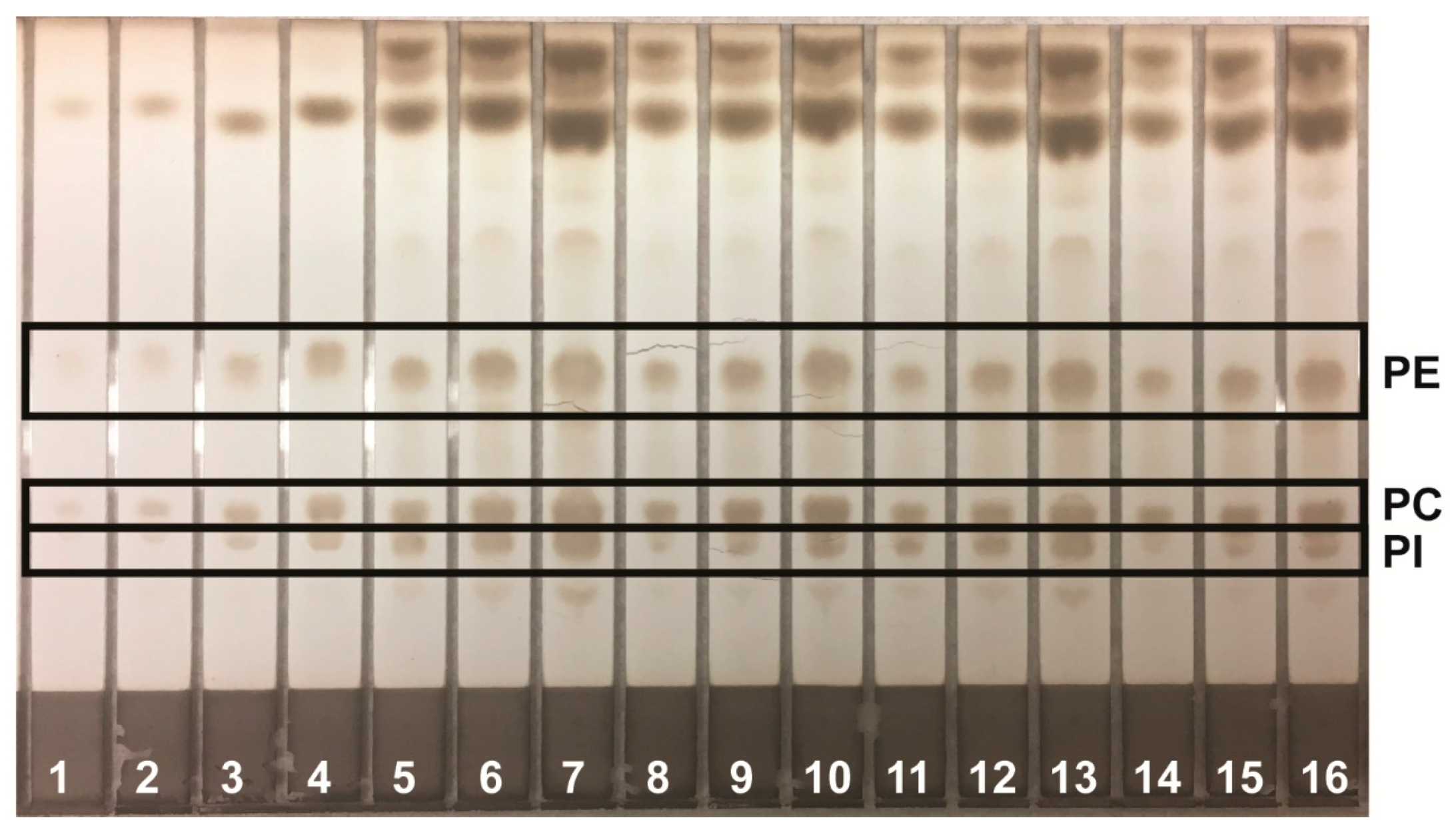 Separations 05 00006 g001 550