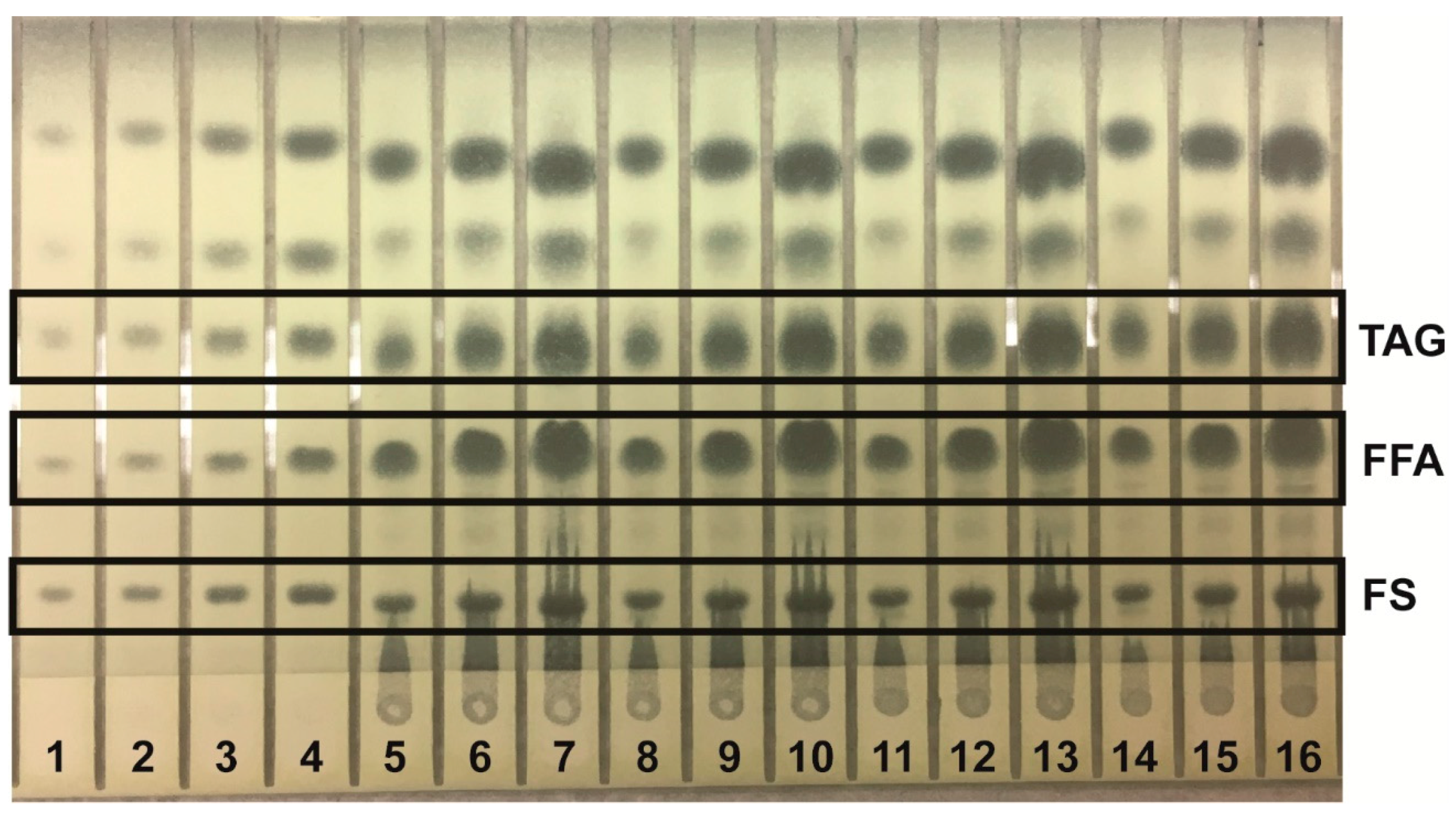 Separations 05 00006 g002 550