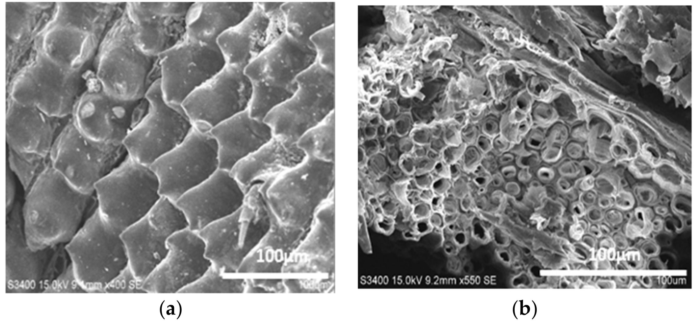 Separations 05 00022 g001