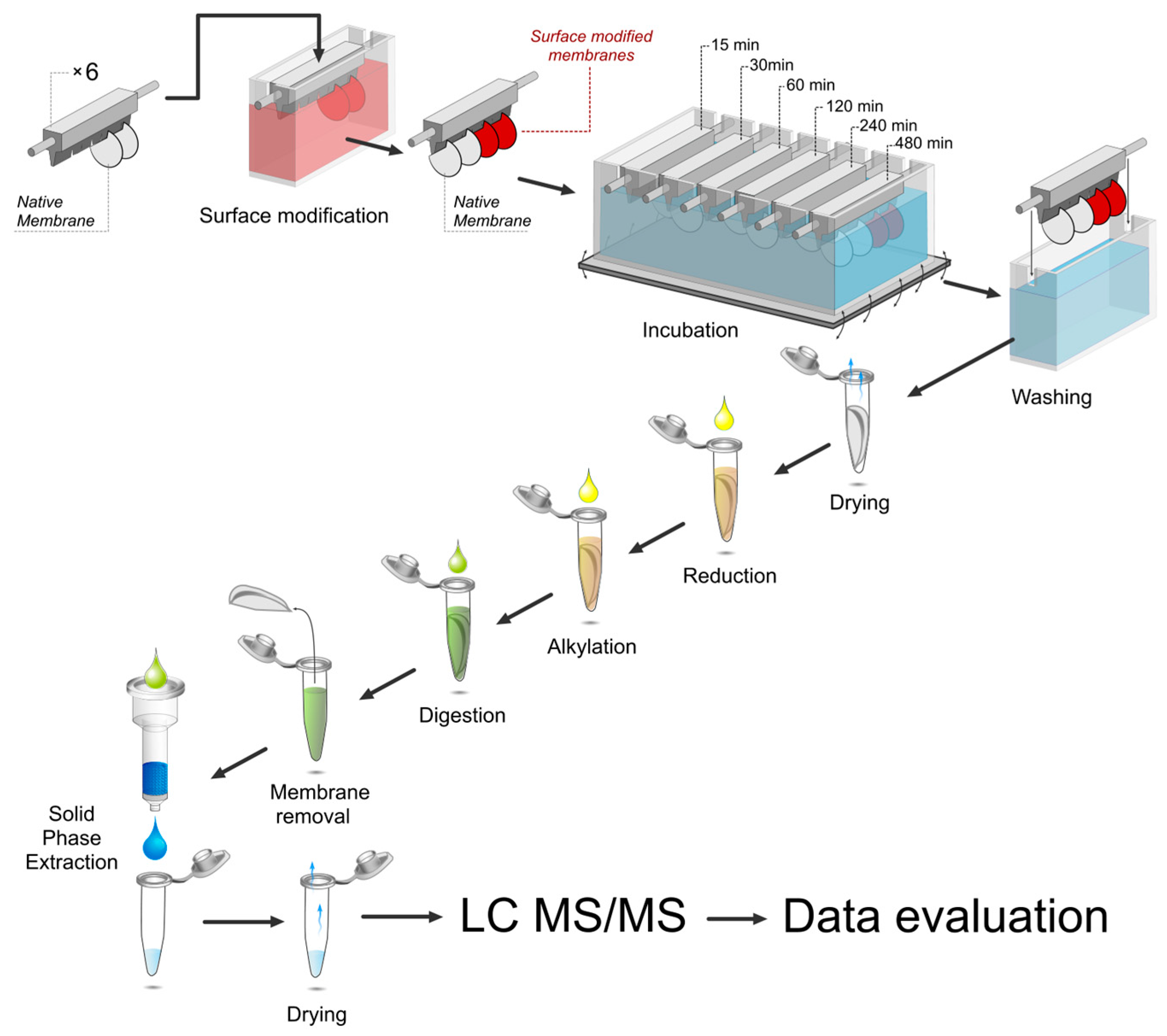 Separations 05 00027 g001 Separations 05 00027 g001