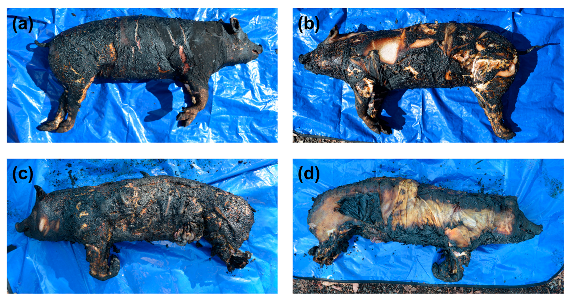 Separations 05 00046 g002