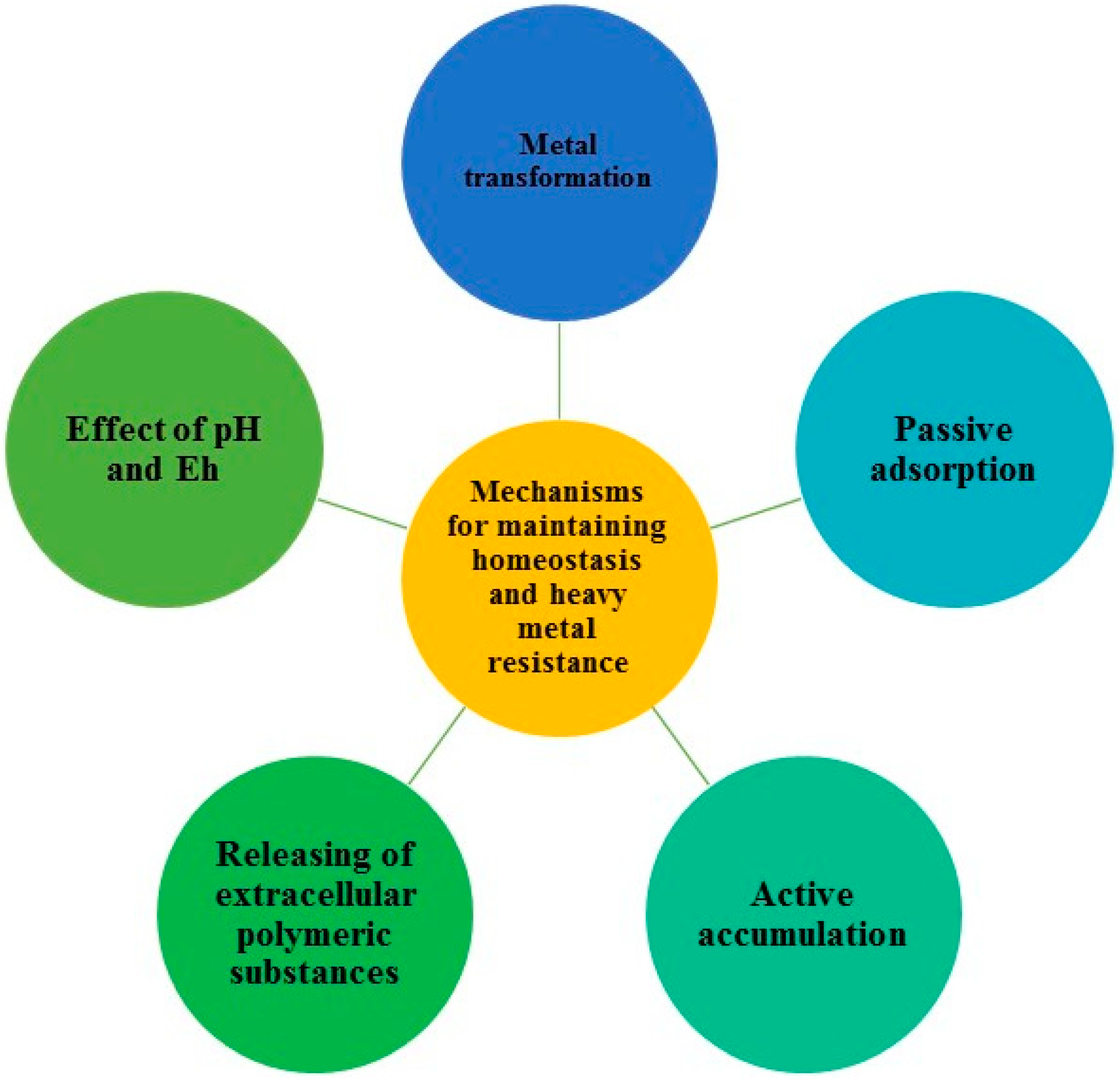 Phd thesis on biosorption of heavy metals