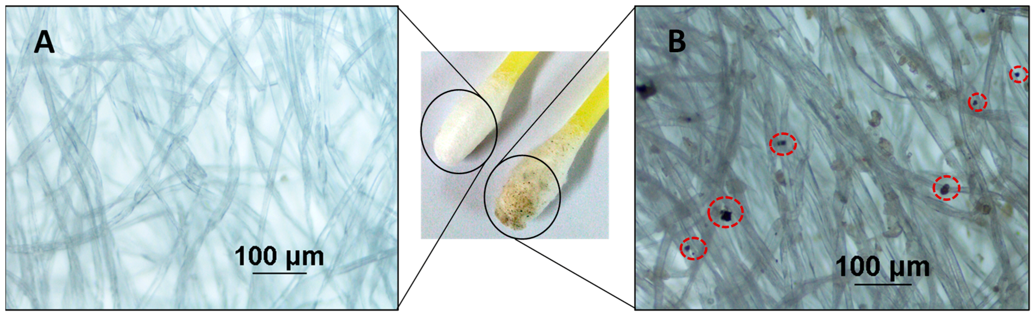 Separations 06 00016 g006 Separations 06 00016 g006