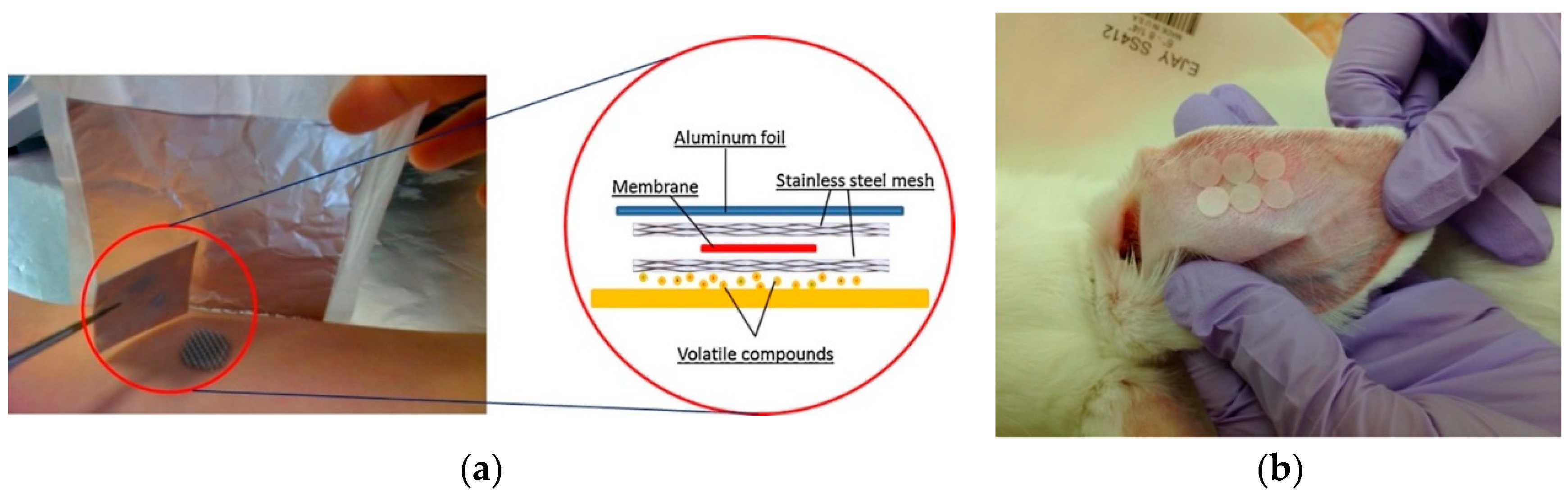 Separations 06 00052 g001 Separations 06 00052 g001