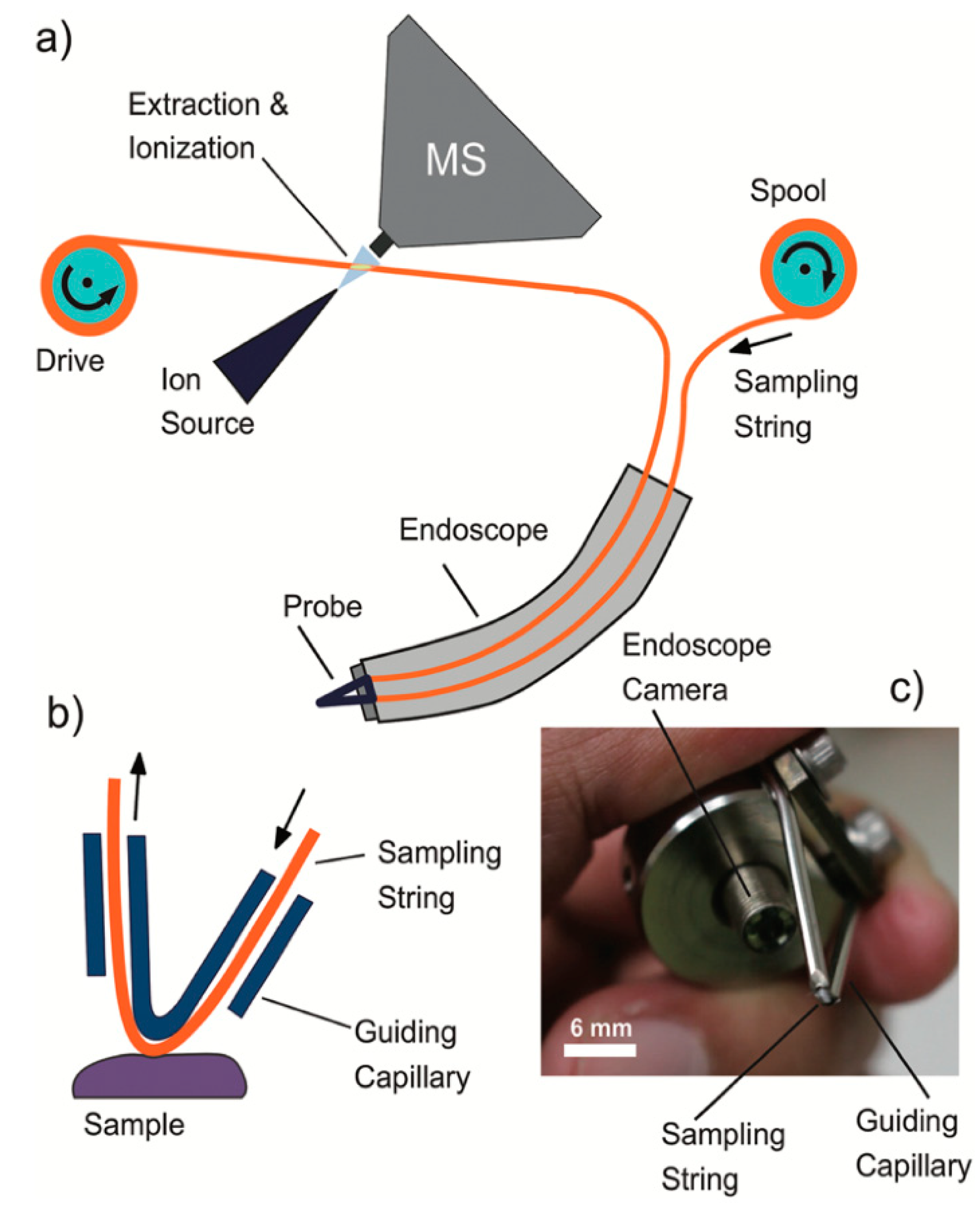 Separations 06 00052 g006 Separations 06 00052 g006