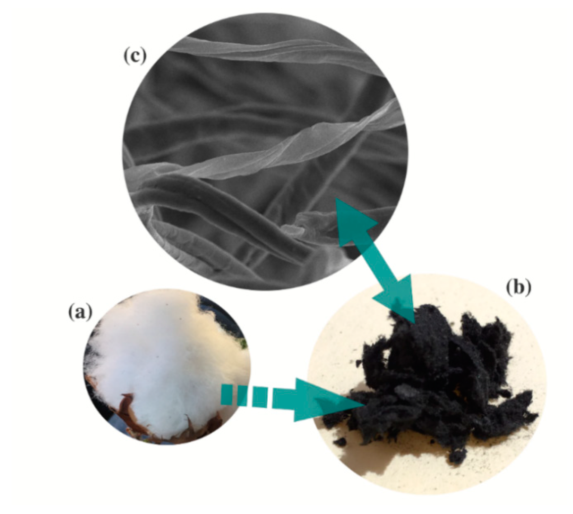 Separations 07 00002 g001 Separations 07 00002 g001