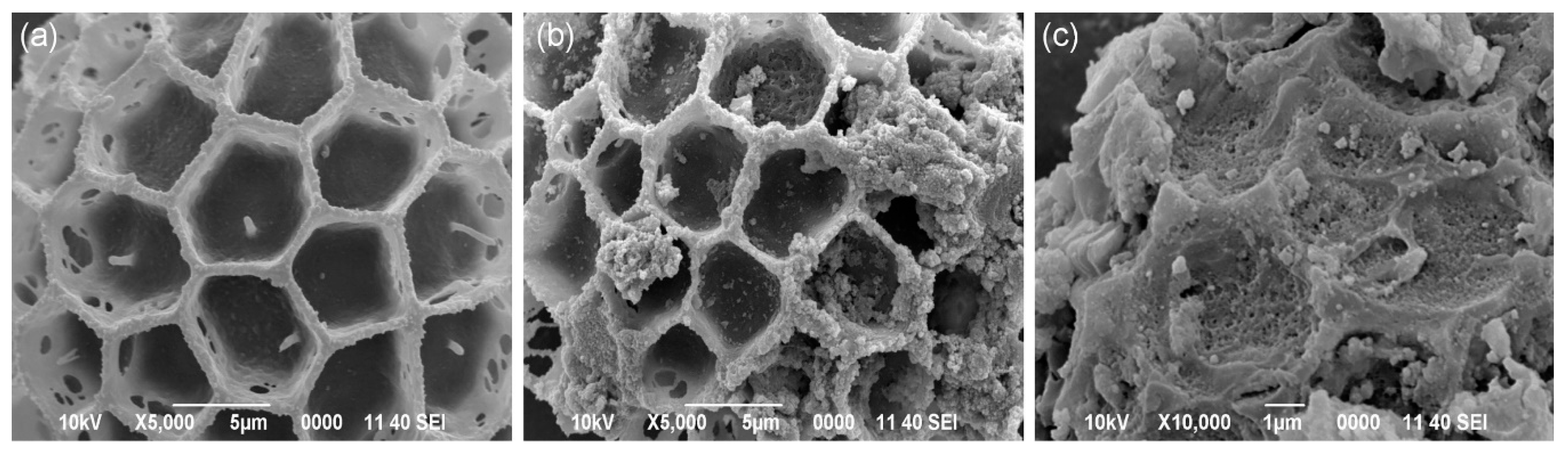 Separations 07 00002 g002 Separations 07 00002 g002