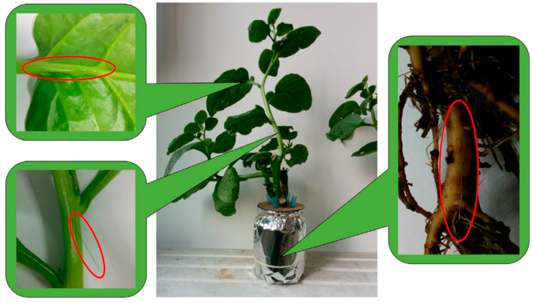 Separations 07 00006 g007