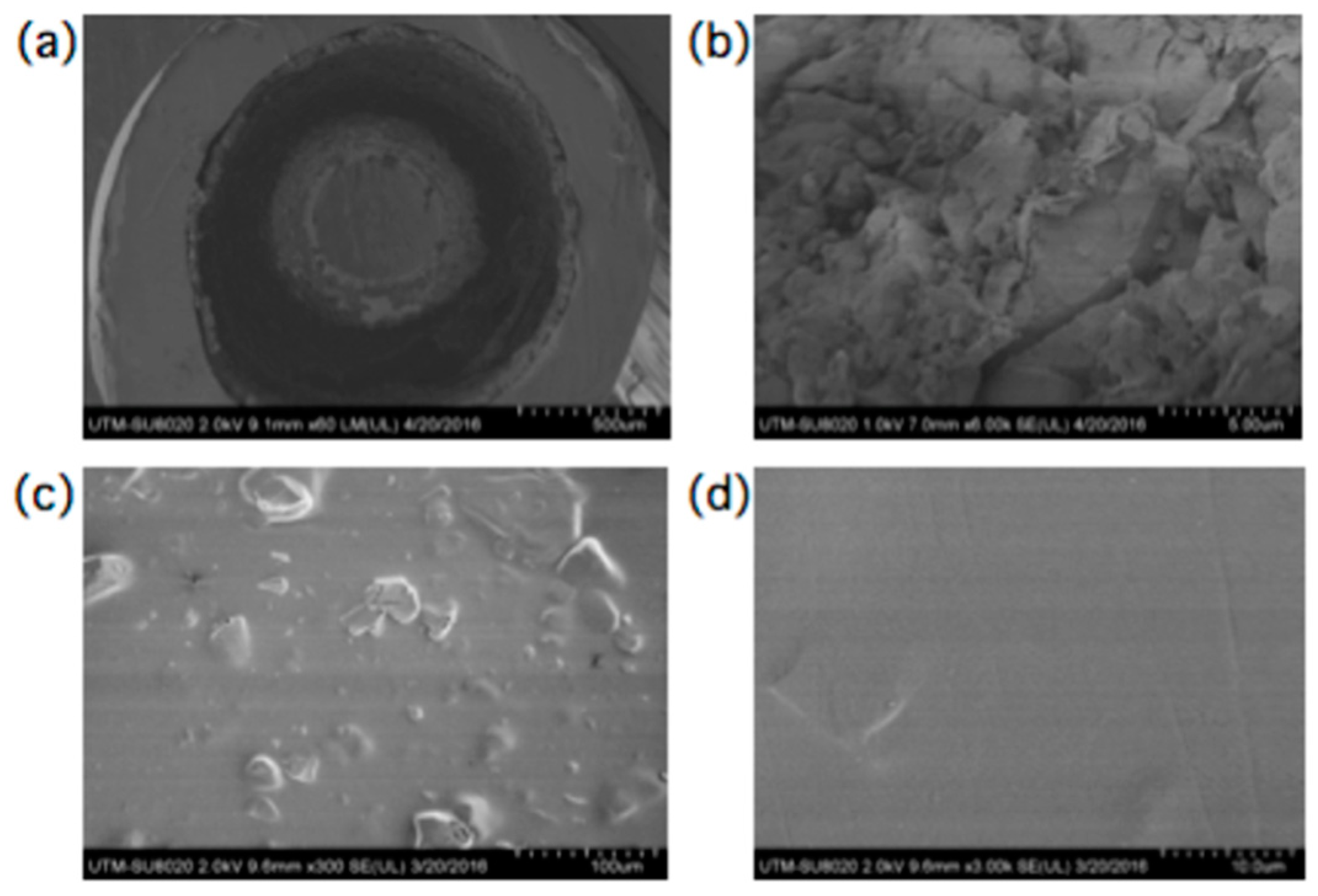 Separations 07 00019 g003