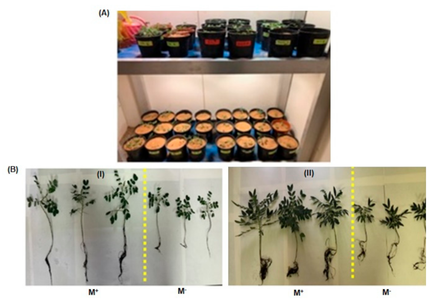 Separations 07 00065 g002