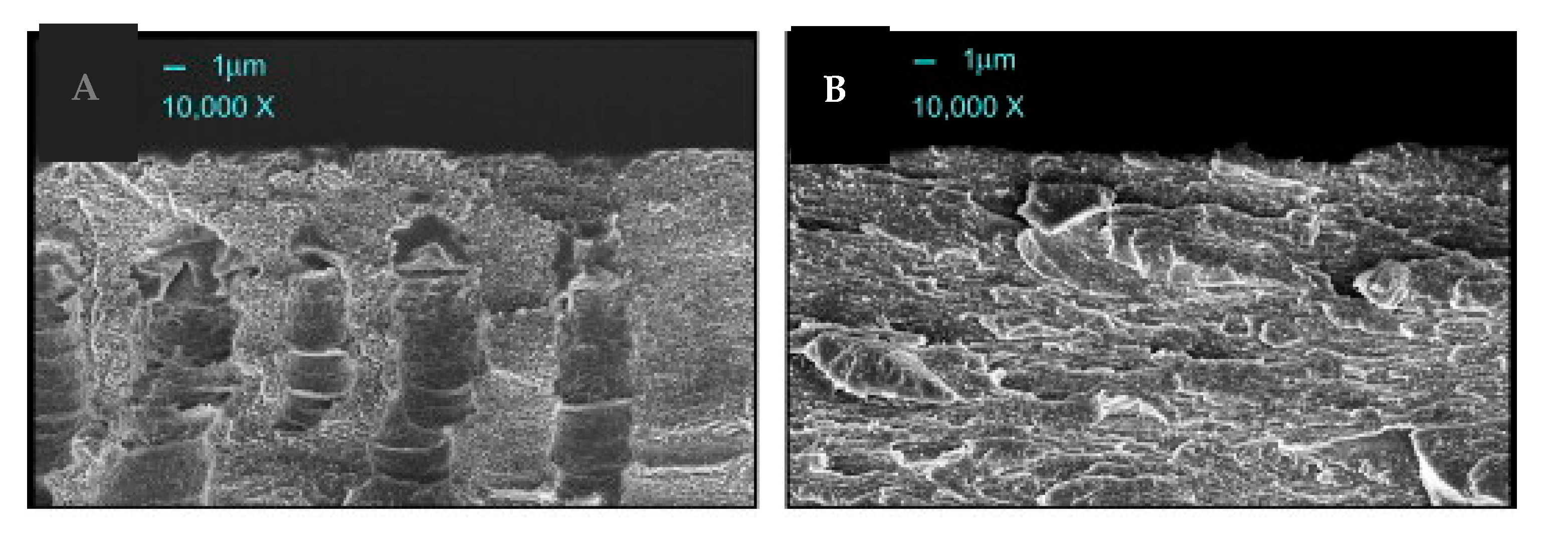 Separations 07 00069 g002 Separations 07 00069 g002